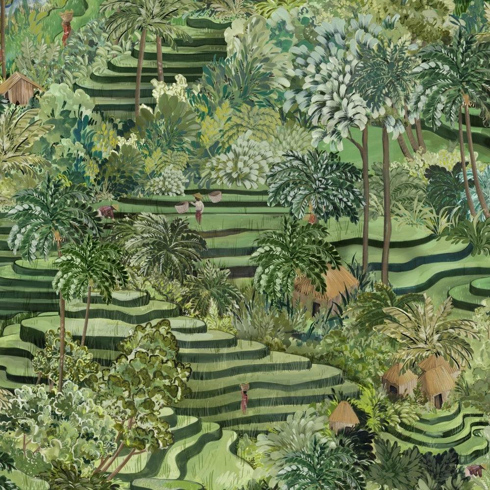 Brand McKenzie Rice Terrace Standard Grass Green Wallpaper-Beaumonde