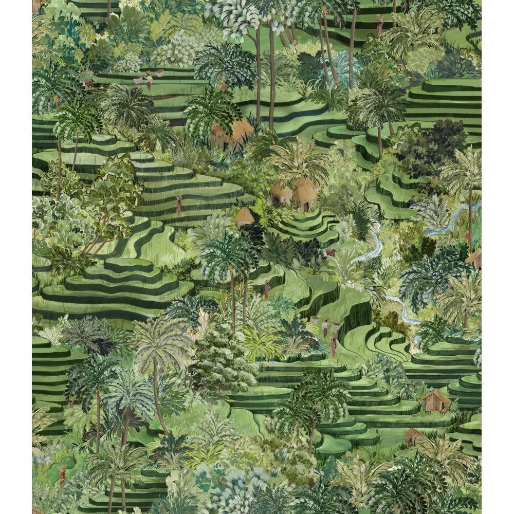 Brand McKenzie Rice Terrace Standard Grass Green Wallpaper-Beaumonde