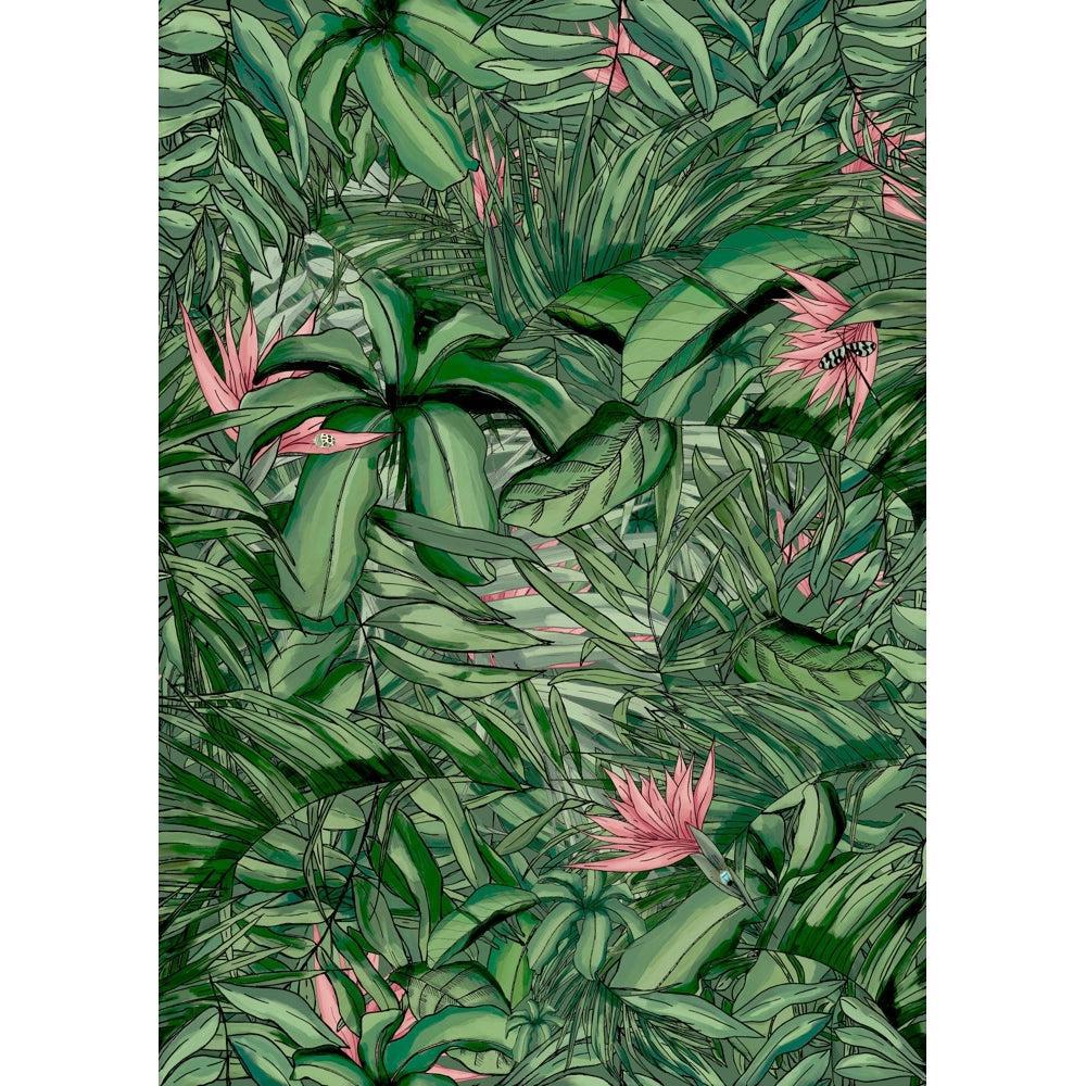 Brand McKenzie Tropical Forest Dark Green & Pink Wallpaper-Beaumonde