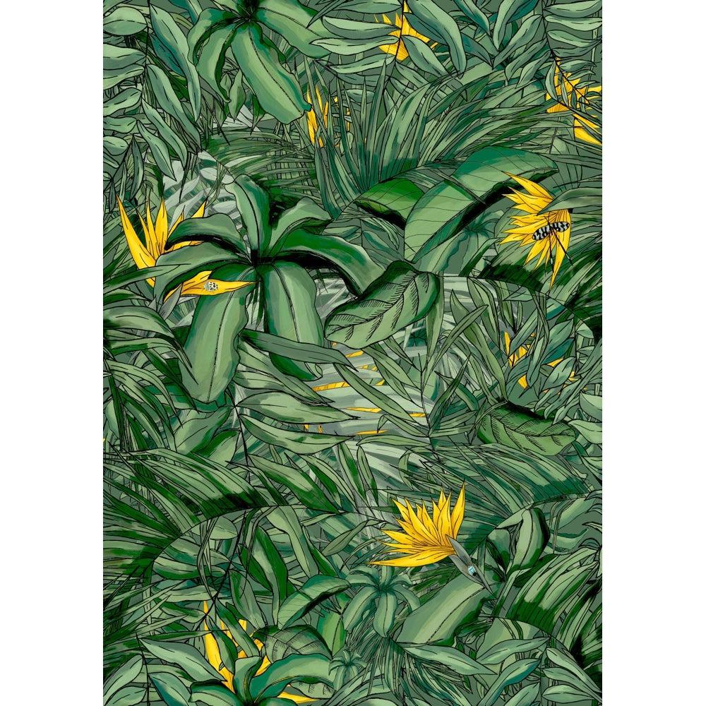 Brand McKenzie Tropical Forest Dark Green & Yellow Wallpaper-Beaumonde