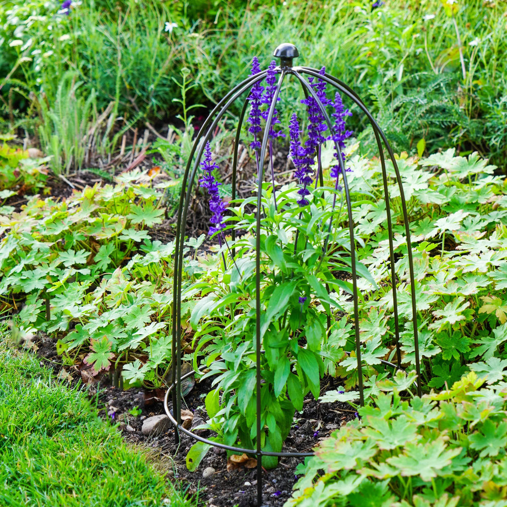 Ivyline Climbing Plant Metal Obelisk Support, Zinc-Beaumonde