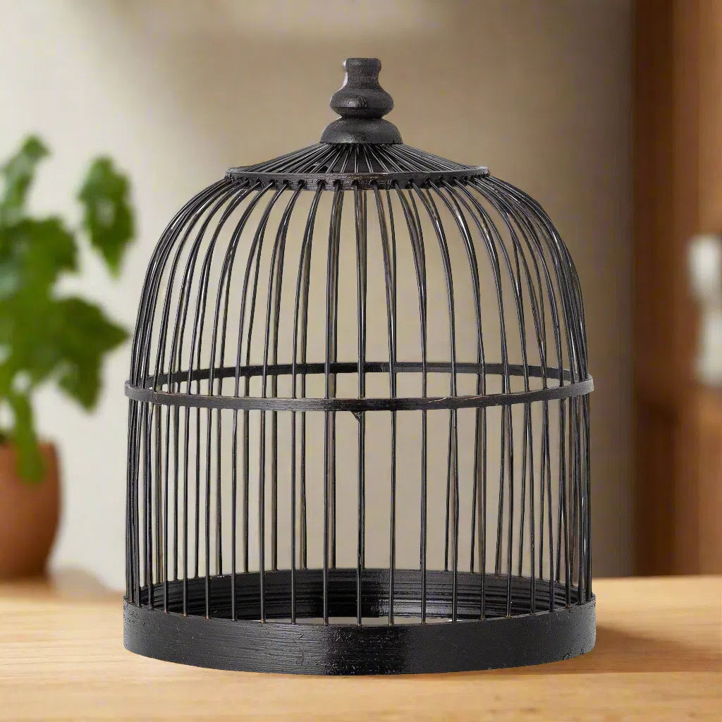 Creative Collection Wed Bamboo Plant Cloche Black-Beaumonde