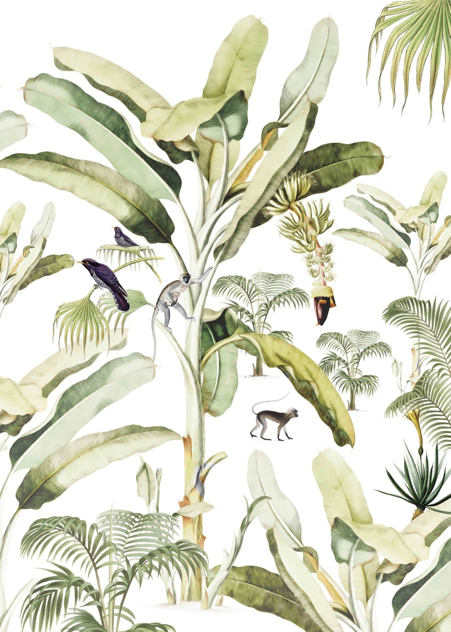 Creative Lab Amsterdam Baby Bananas Wallpaper Circle Mural-Beaumonde