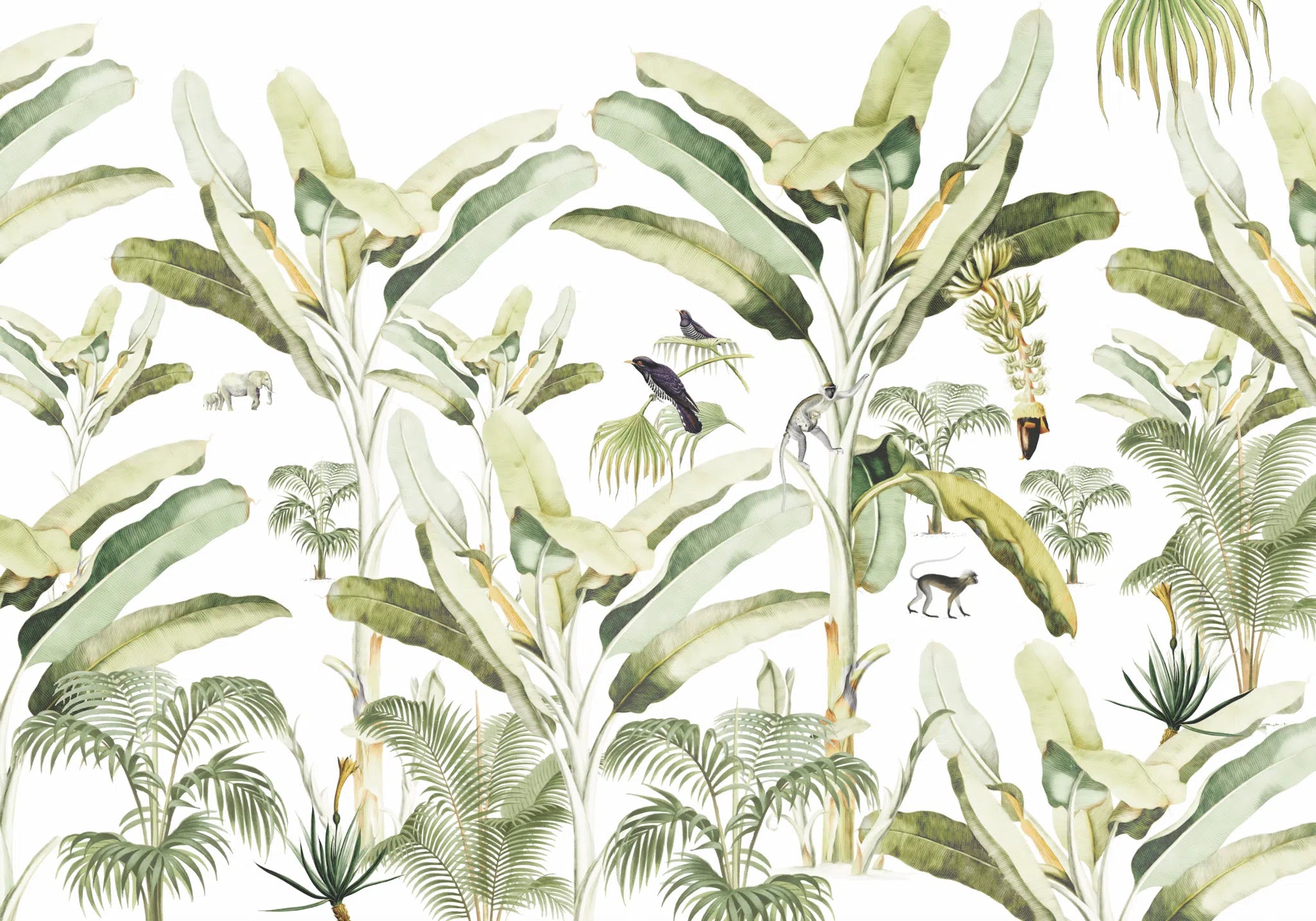 Creative Lab Amsterdam Baby Bananas Wallpaper Mural-Beaumonde