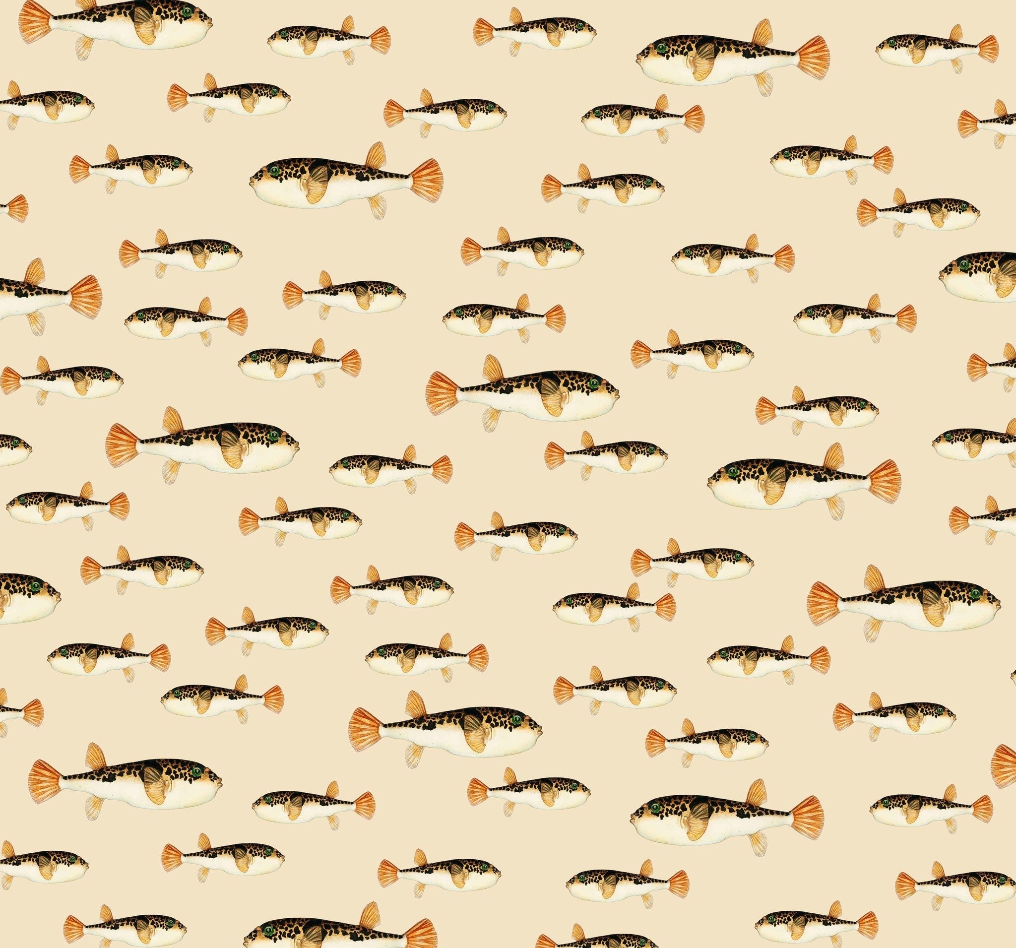Creative Lab Amsterdam Follow My Fin Wallpaper Mural-Beaumonde