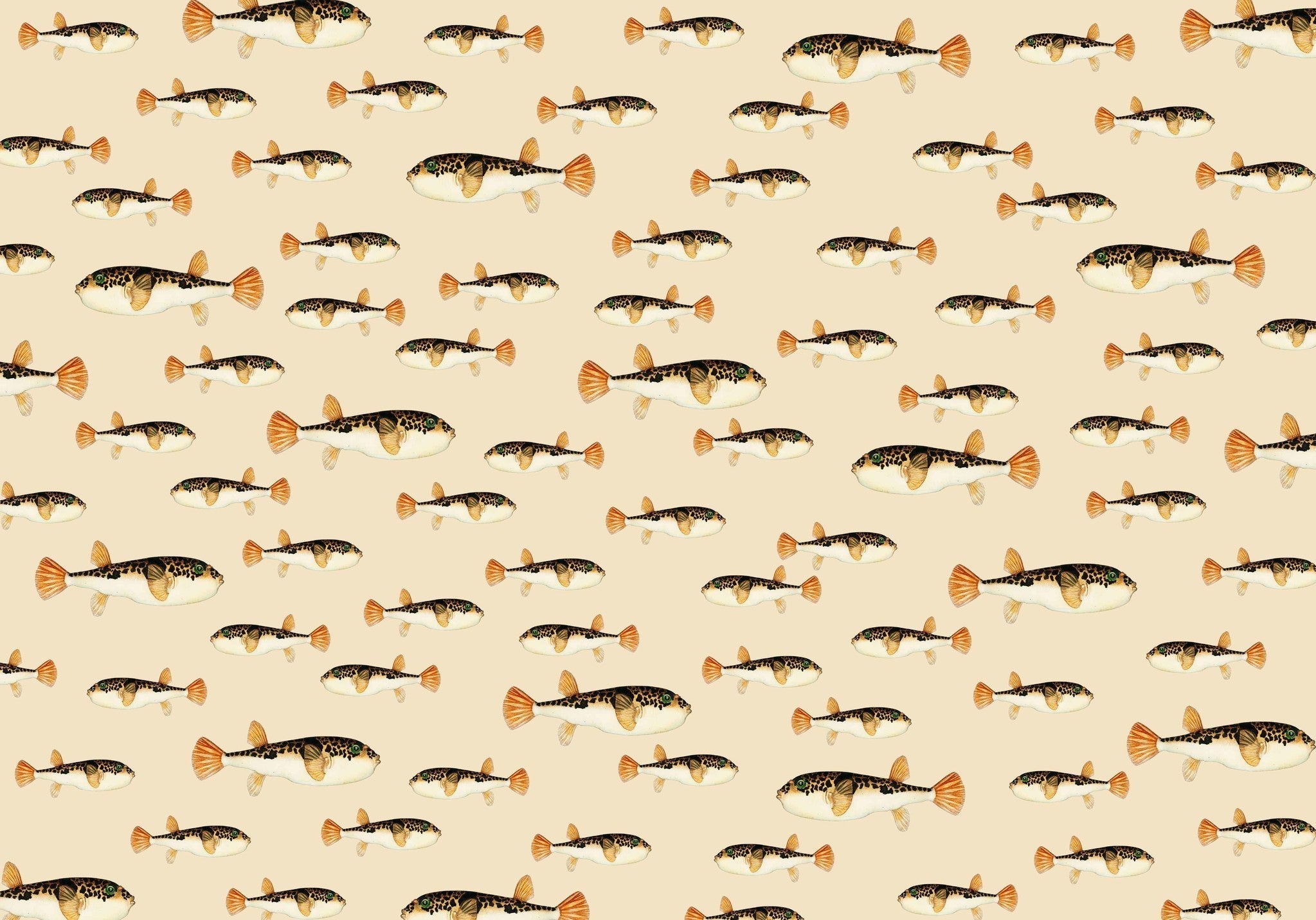Creative Lab Amsterdam Follow My Fin Wallpaper Mural-Beaumonde