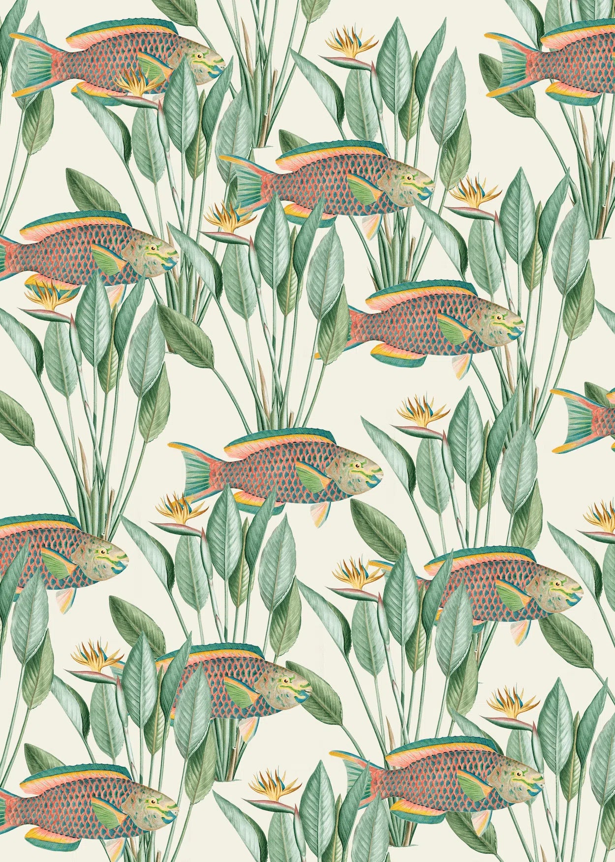 Creative Lab Amsterdam Parrot Fish Wallpaper Mural-Beaumonde