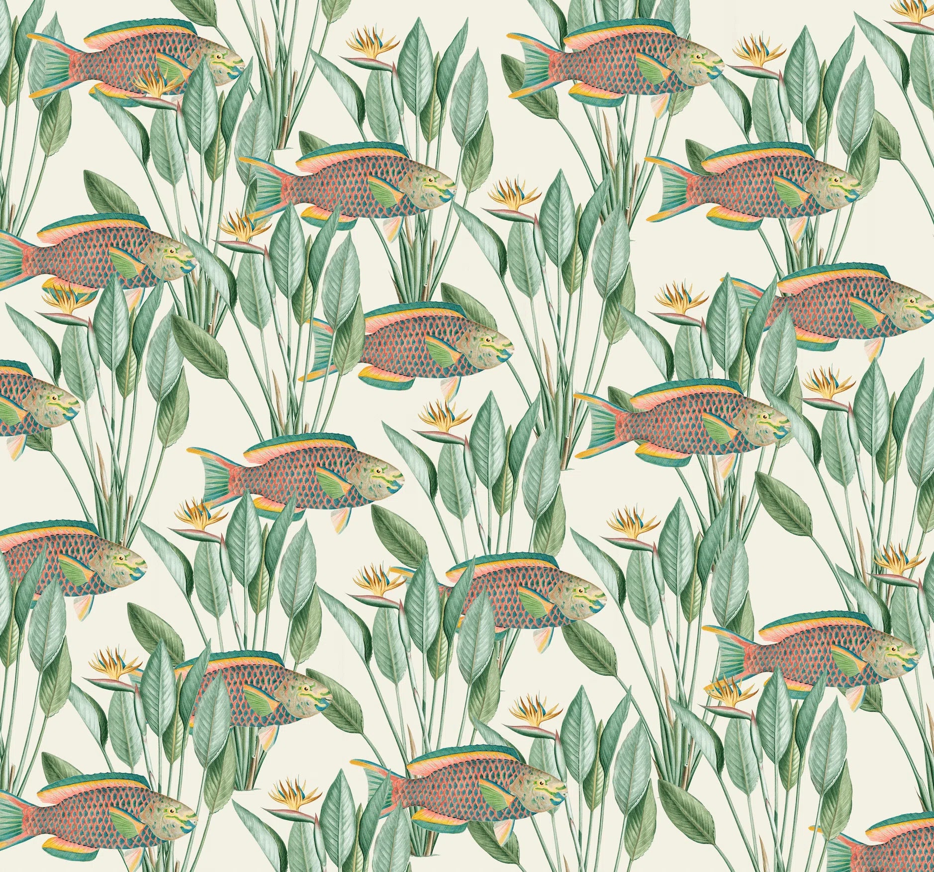 Creative Lab Amsterdam Parrot Fish Wallpaper Mural-Beaumonde