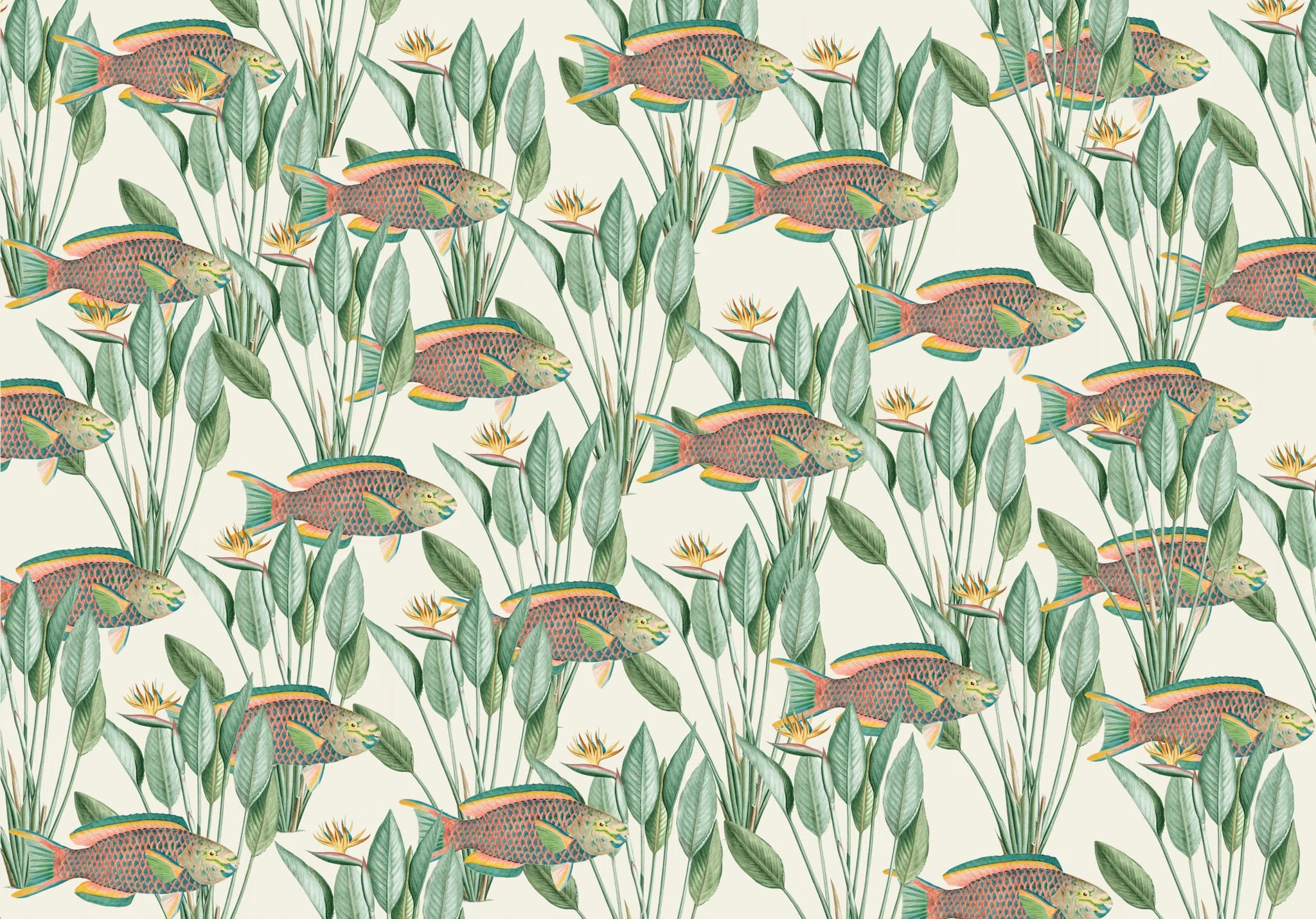 Creative Lab Amsterdam Parrot Fish Wallpaper Mural-Beaumonde