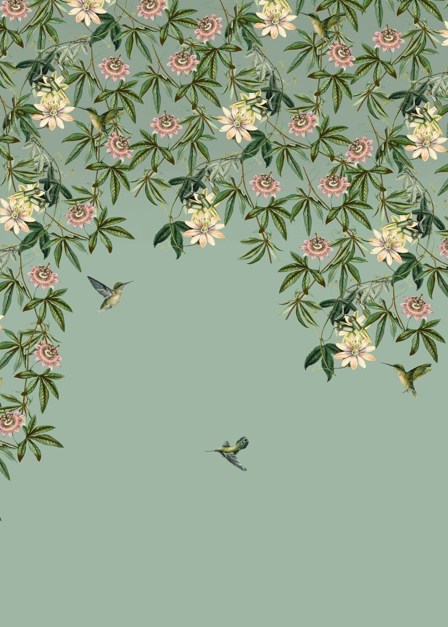 Creative Lab Amsterdam Passionate Colibri Wallpaper Mural-Beaumonde