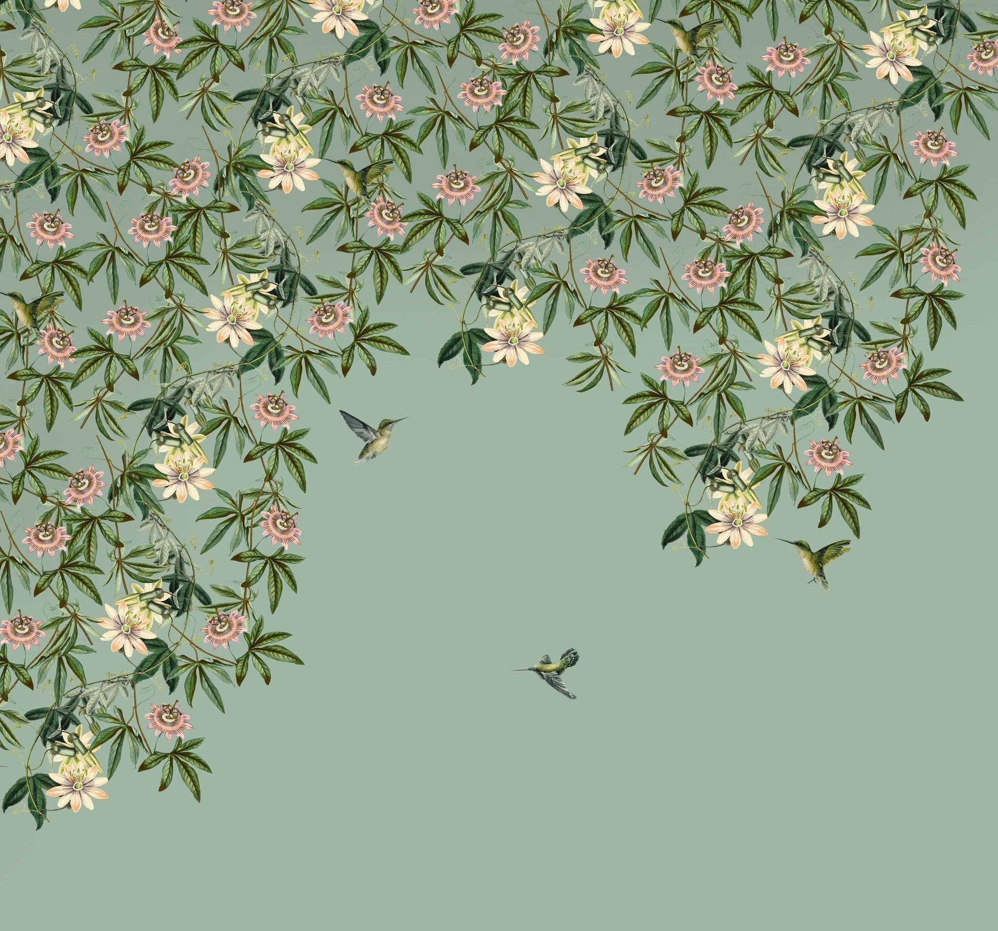 Creative Lab Amsterdam Passionate Colibri Wallpaper Mural-Beaumonde