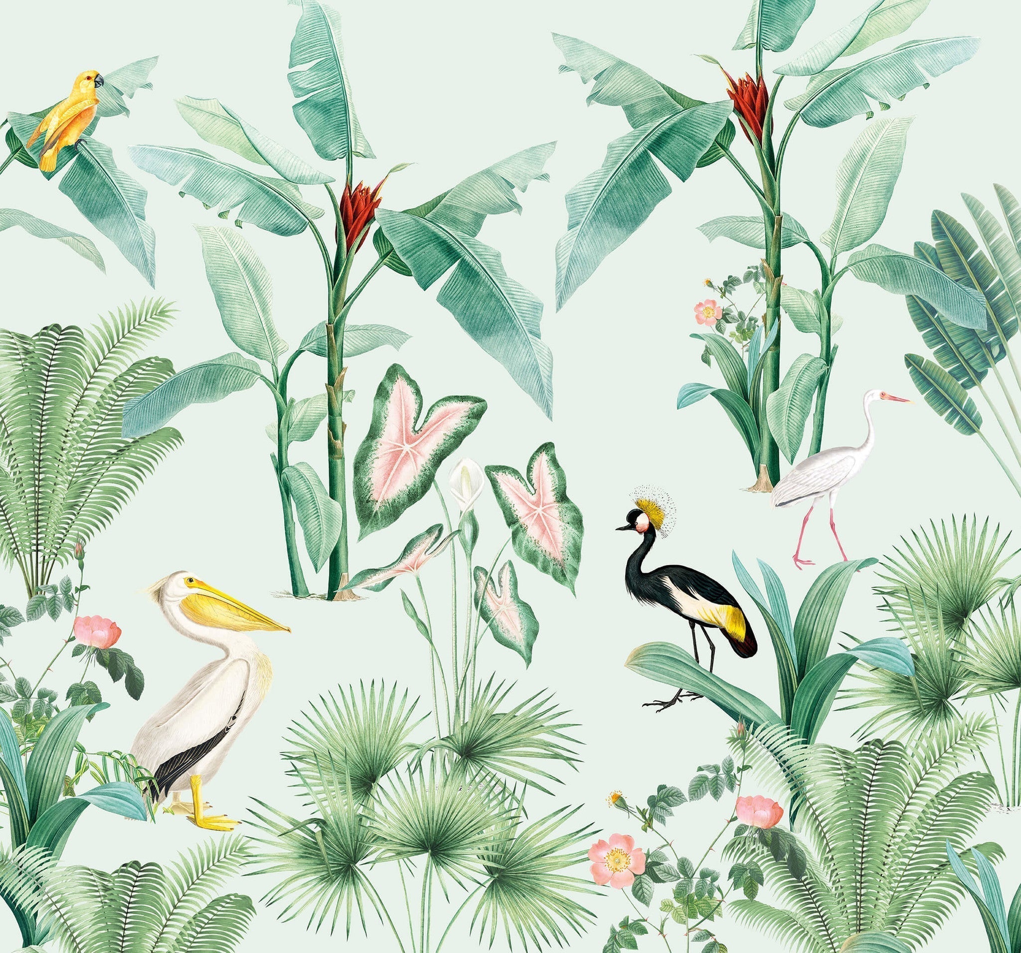 Creative Lab Amsterdam Pelican Wallpaper Mural-Beaumonde