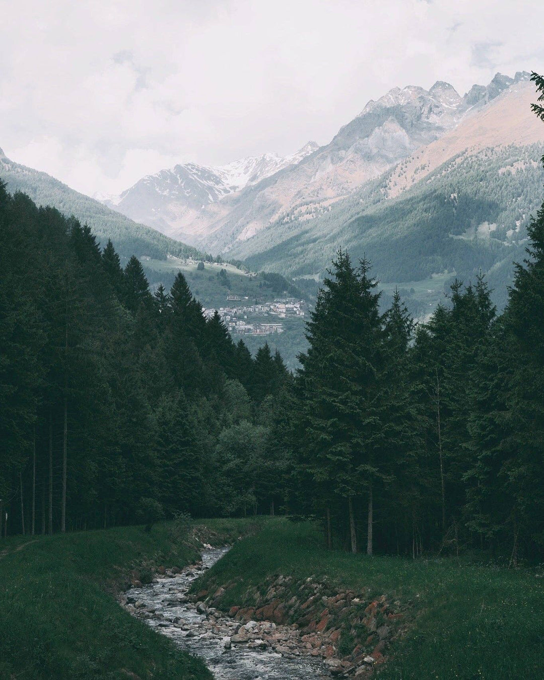 Octō Restore (Bergamot + Mint + Rosemary)