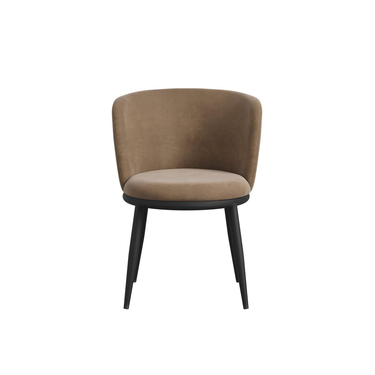 HO+ME Bowie Dining Set of Two Dining Chairs In Black And Mole Velvet-Beaumonde