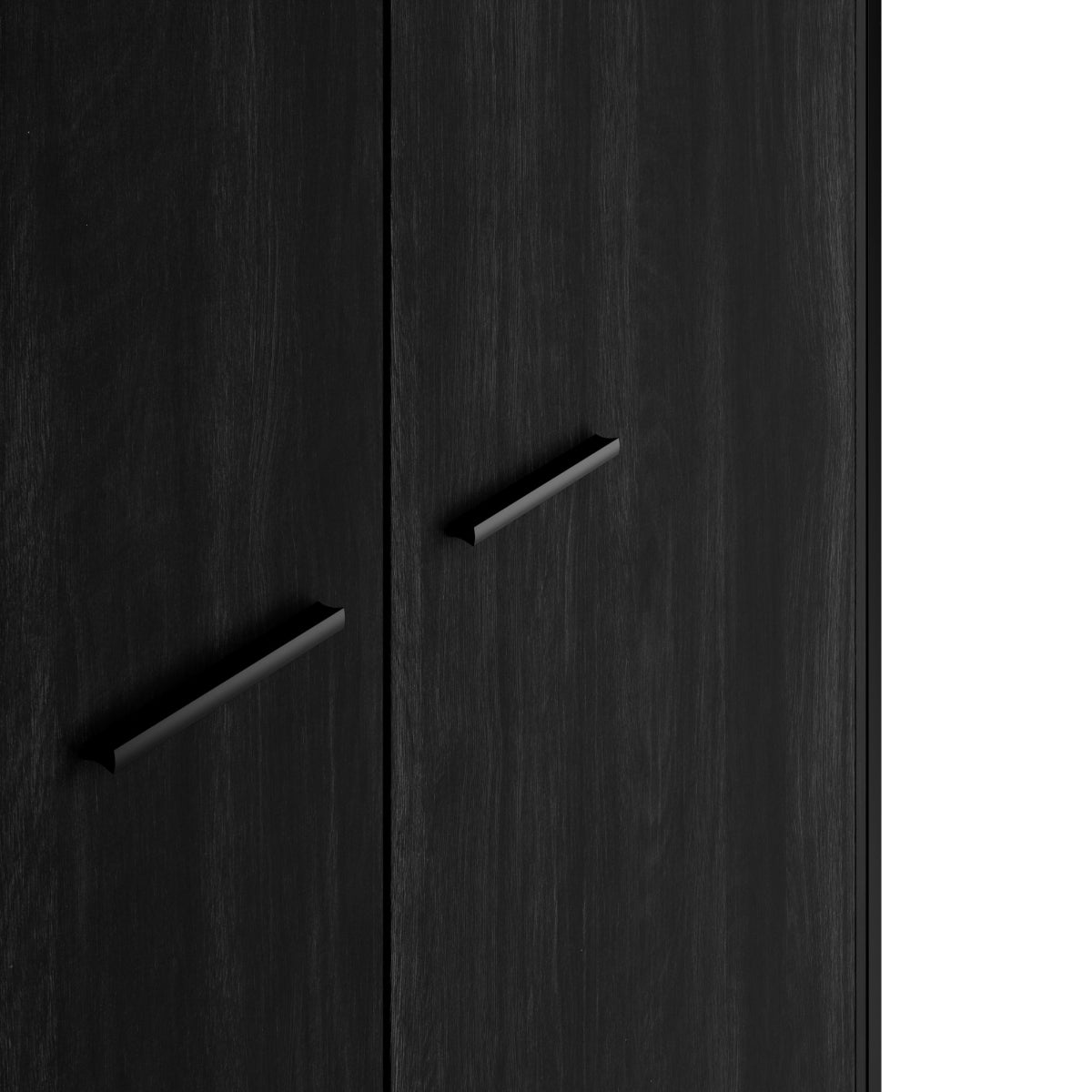 HO+ME Clerkenwell 2 Door Wardrobe In Black close