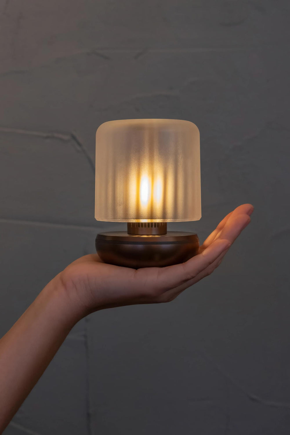 Humble Firefly Rechargeable Table Light Frosted/Bronze-Beaumonde