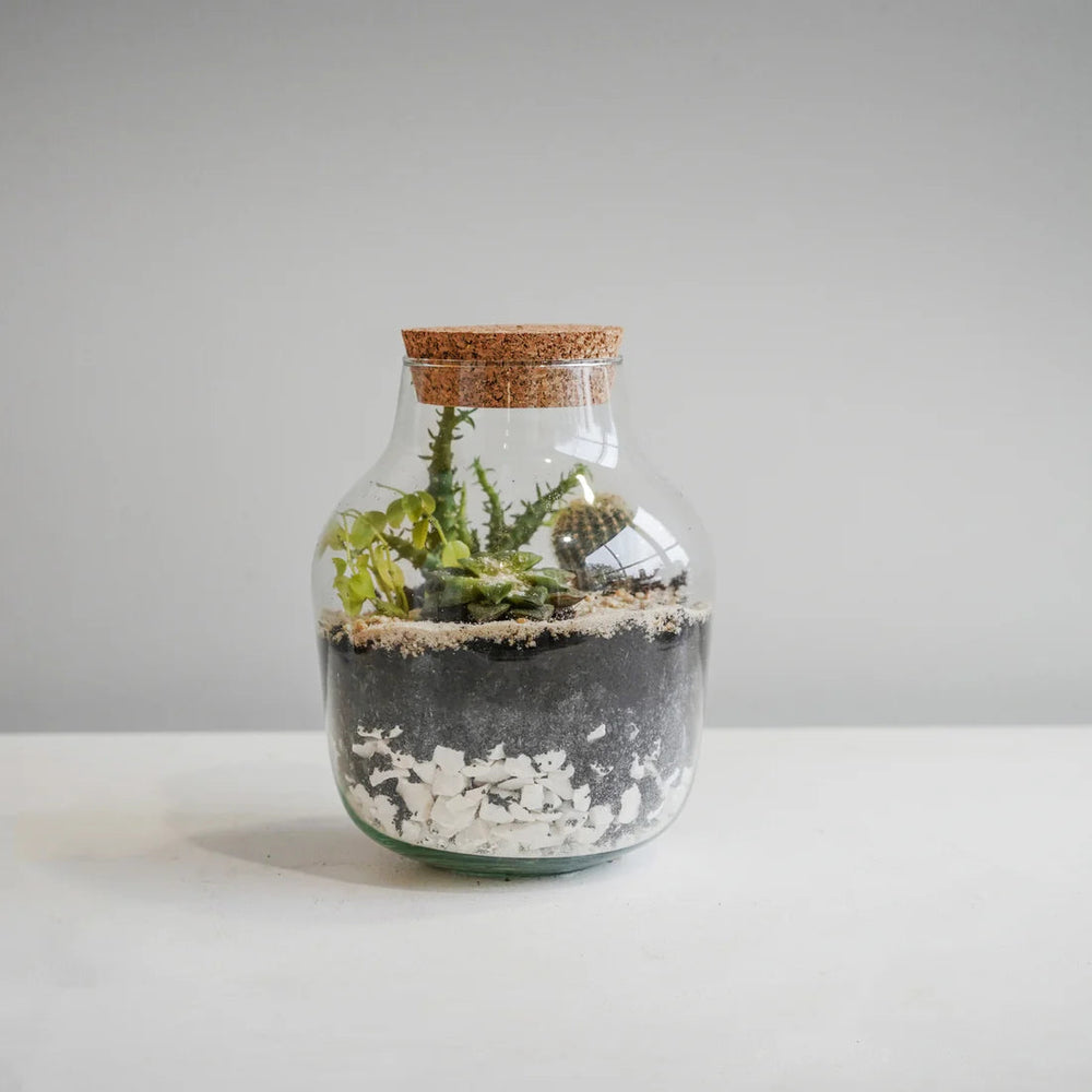 Ivyline Angular Glass Small Terrarium DIY Kit-Beaumonde