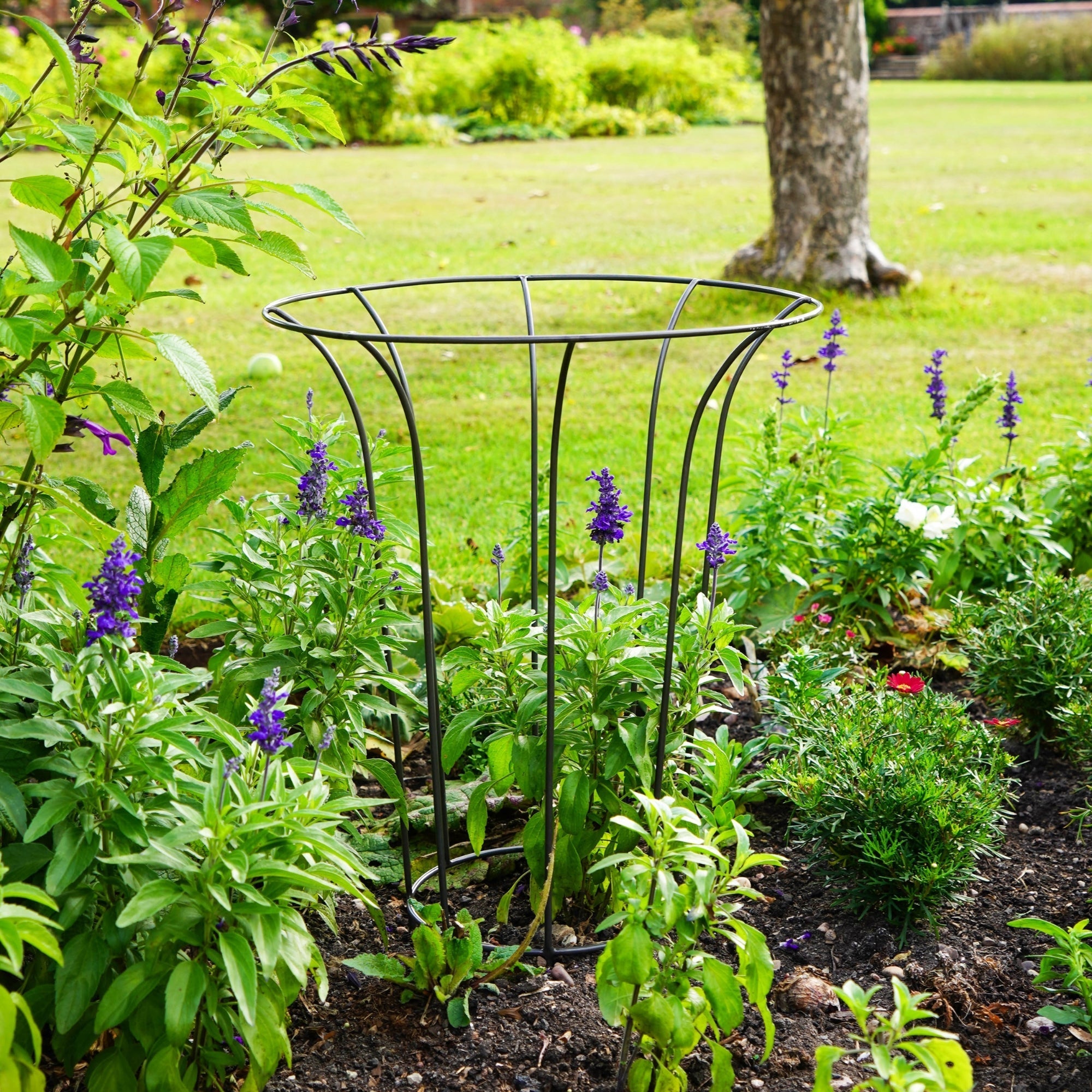 Climber Plant Fluted Garden Support-Beaumonde