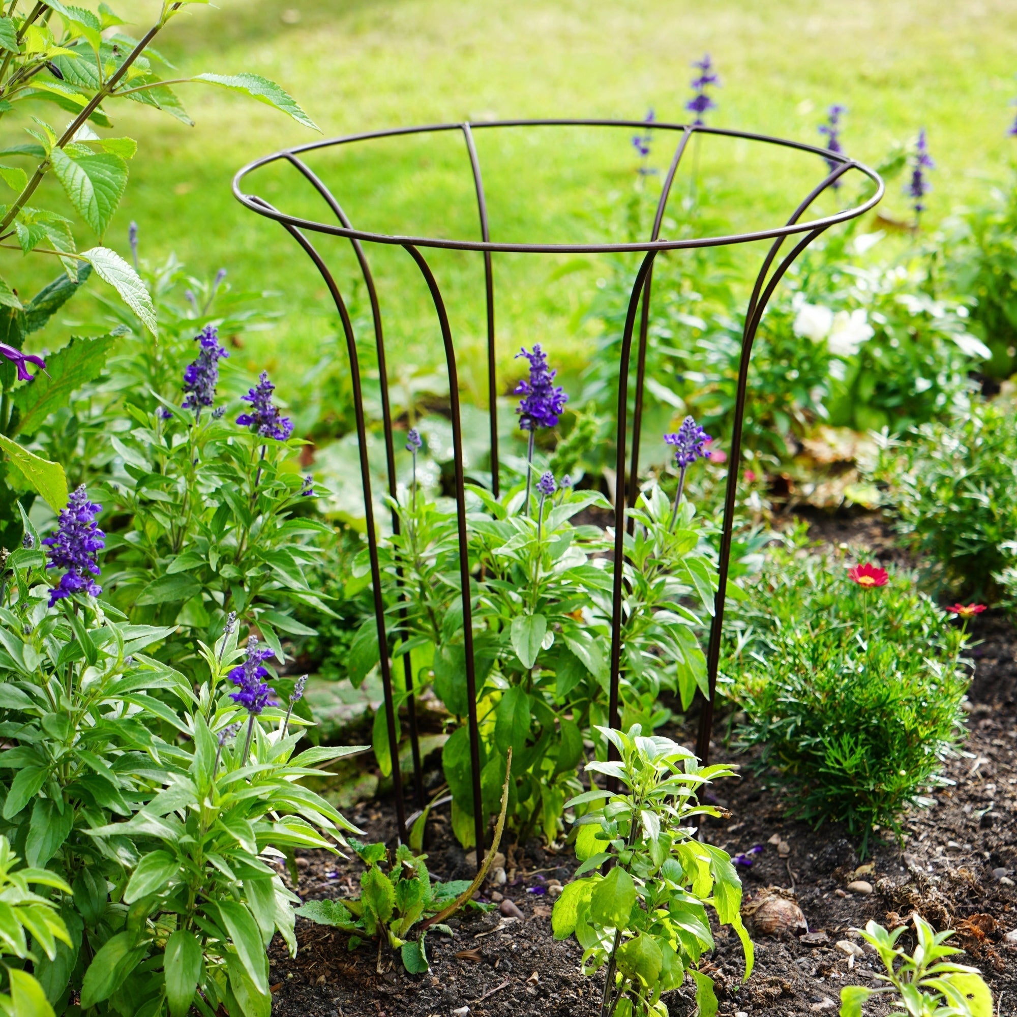 Climber Plant Fluted Garden Support-Beaumonde