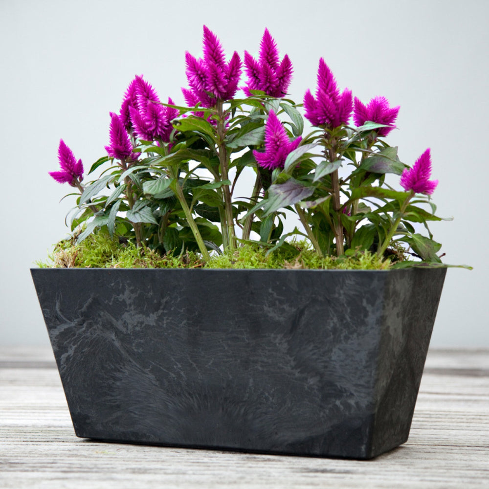 Ivyline Ella Balcony Trough Planter-Beaumonde