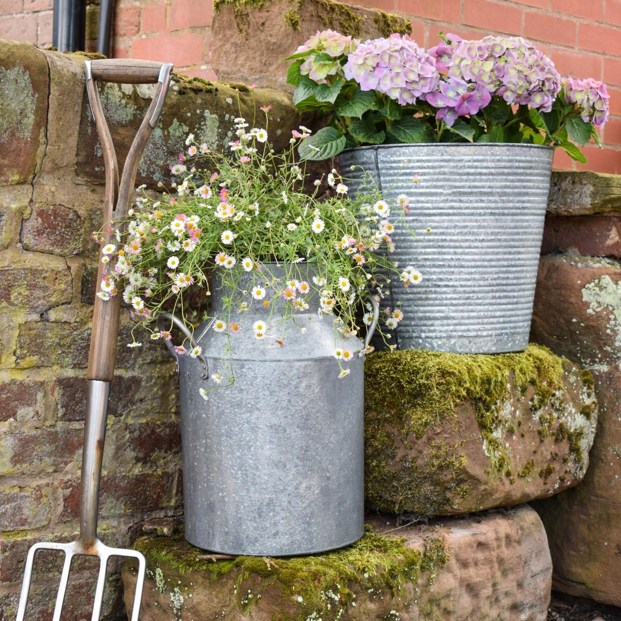 Ivyline Galvanised Milk Churn-Beaumonde