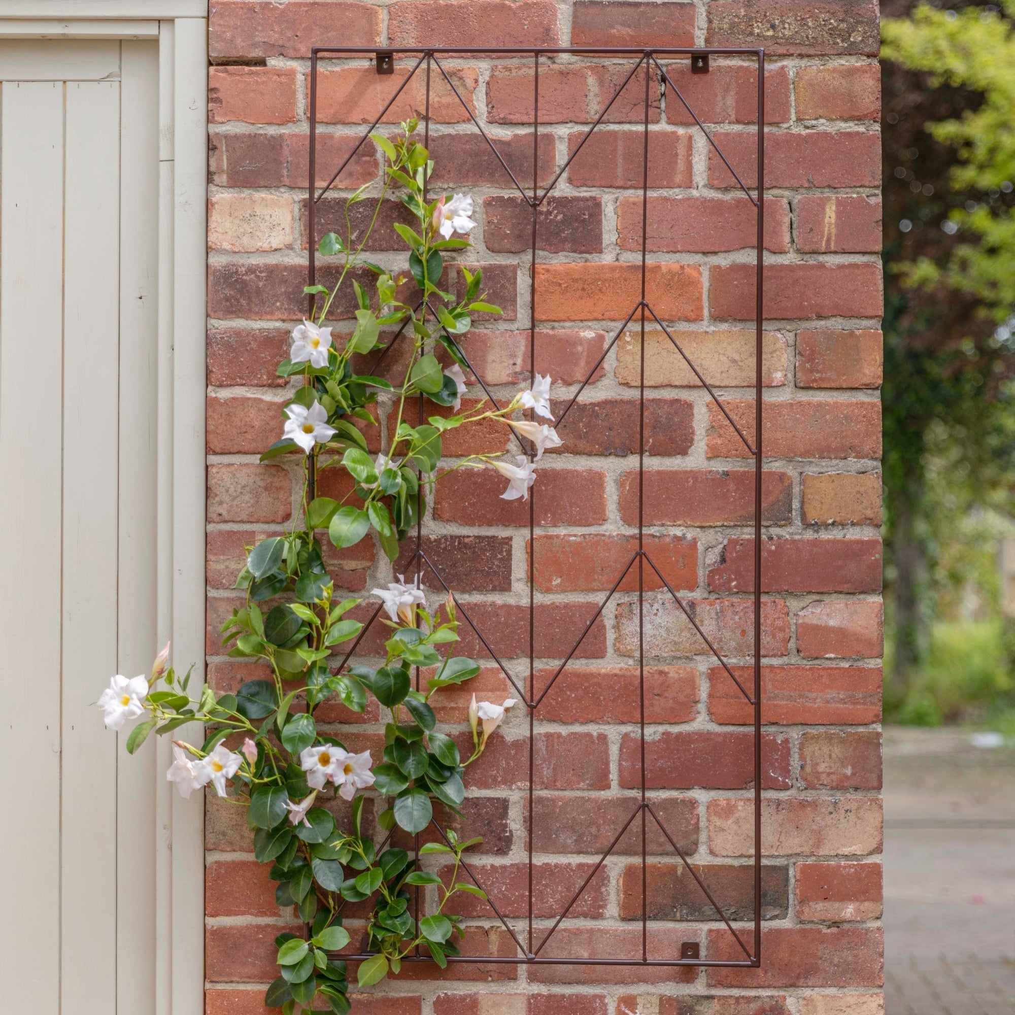 Ivyline Herringbone Garden Wall Trellis-Beaumonde