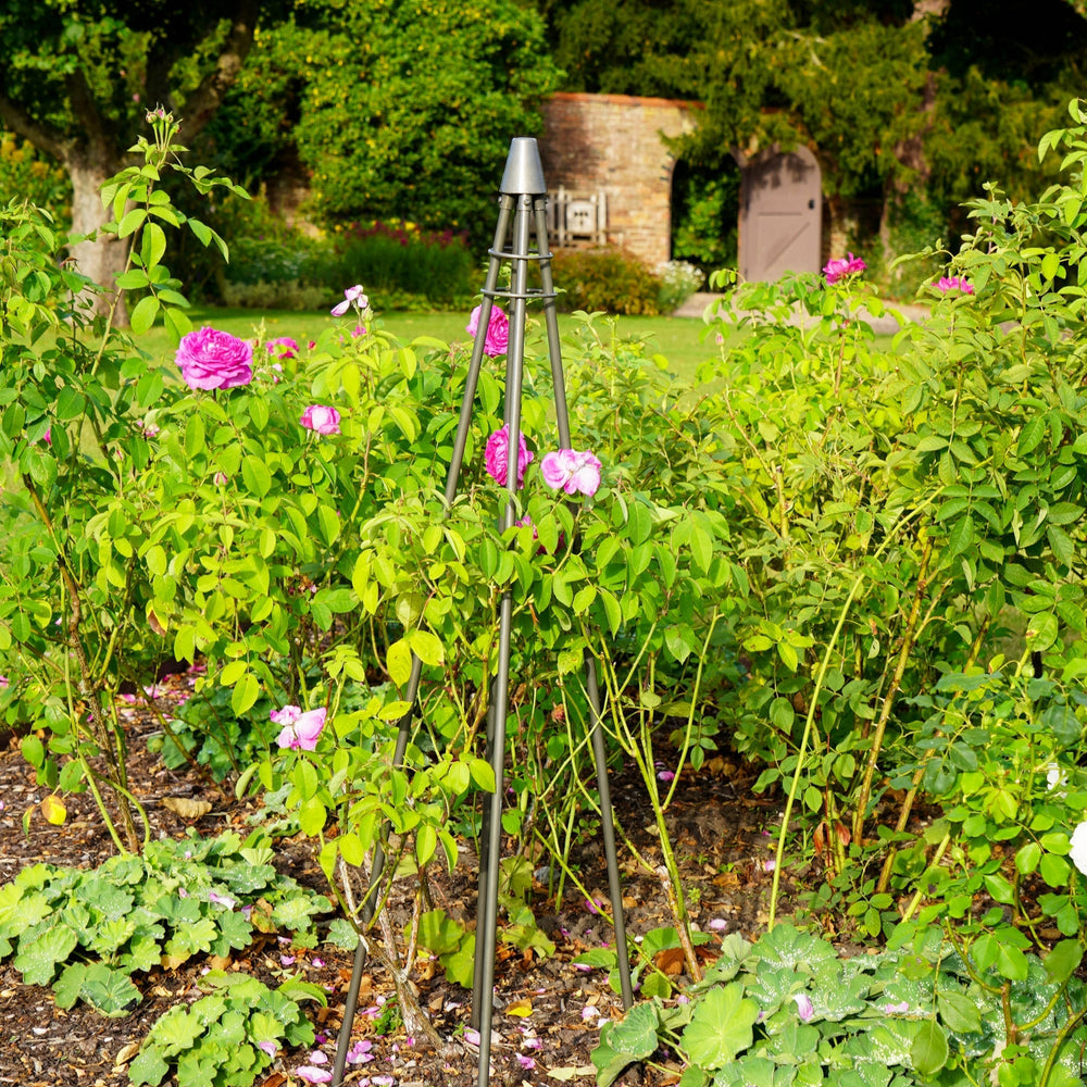 Ivyline Outdoor Climber Tripod-Beaumonde