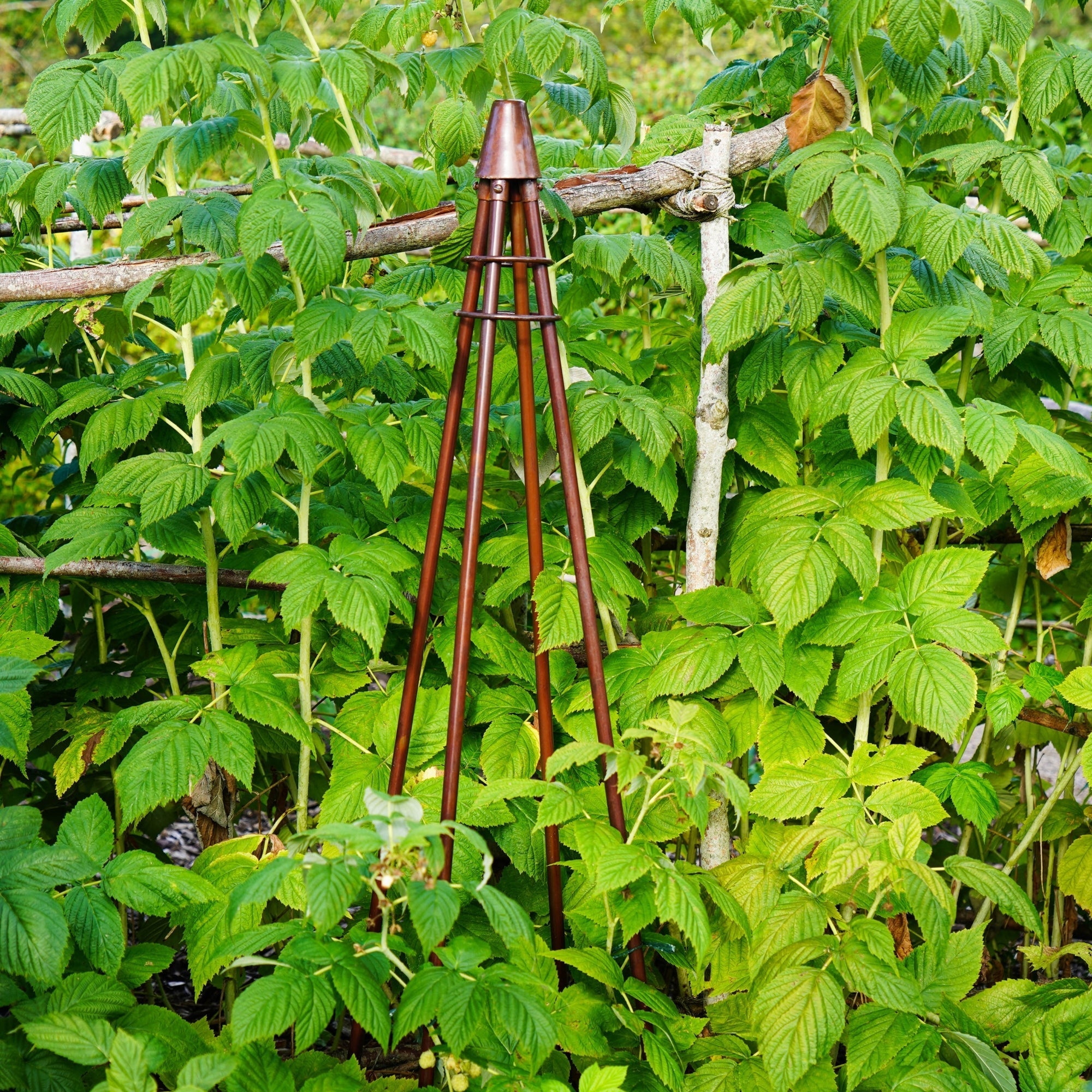 Ivyline Outdoor Climber Tripod-Beaumonde
