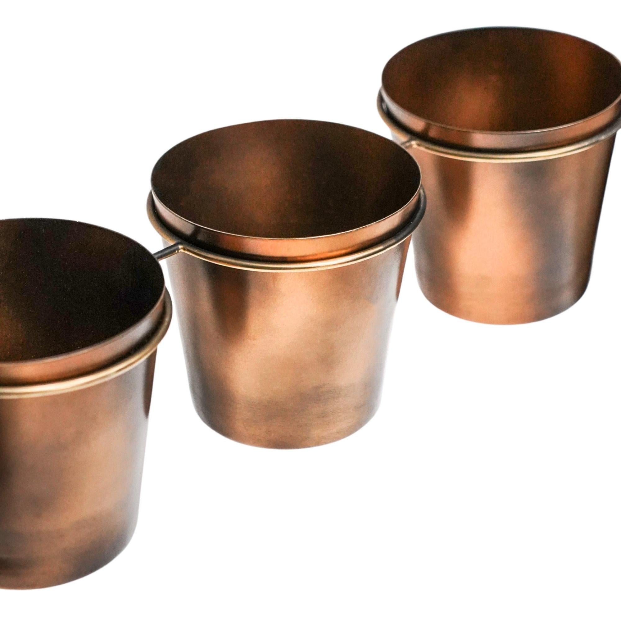 Ivyline Outdoor Vertical Gold Metal Wall Plant Stand with Planters-Beaumonde