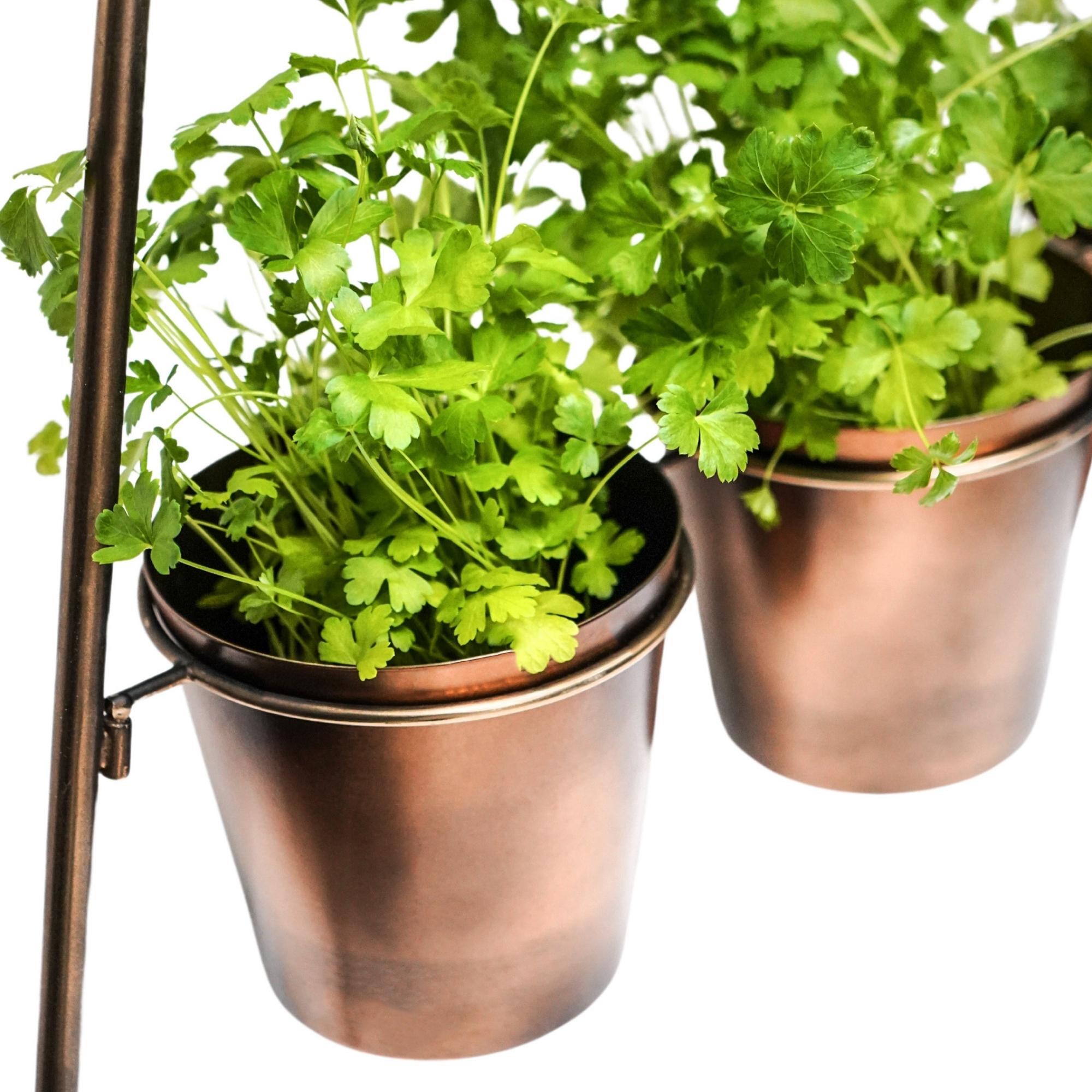 Ivyline Outdoor Vertical Gold Metal Wall Plant Stand with Planters-Beaumonde