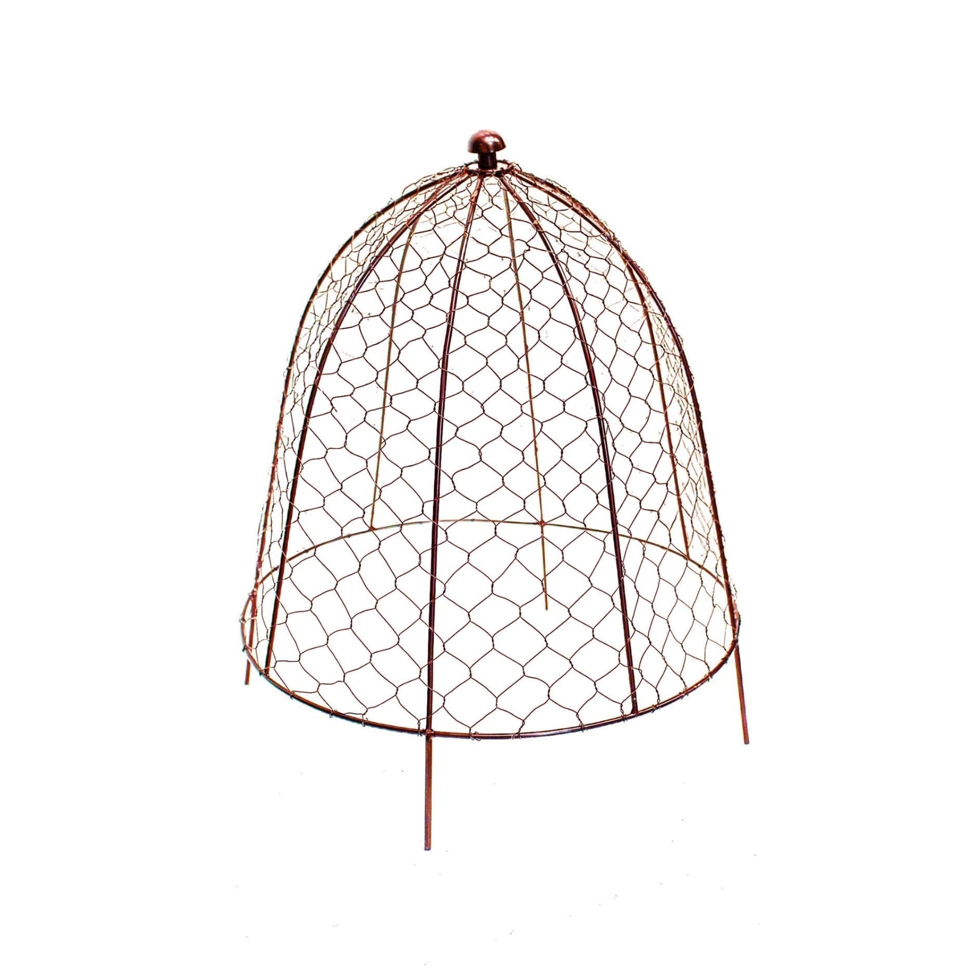 Ivyline Outdoor Wire Netted Plant Cloche Protector-Beaumonde