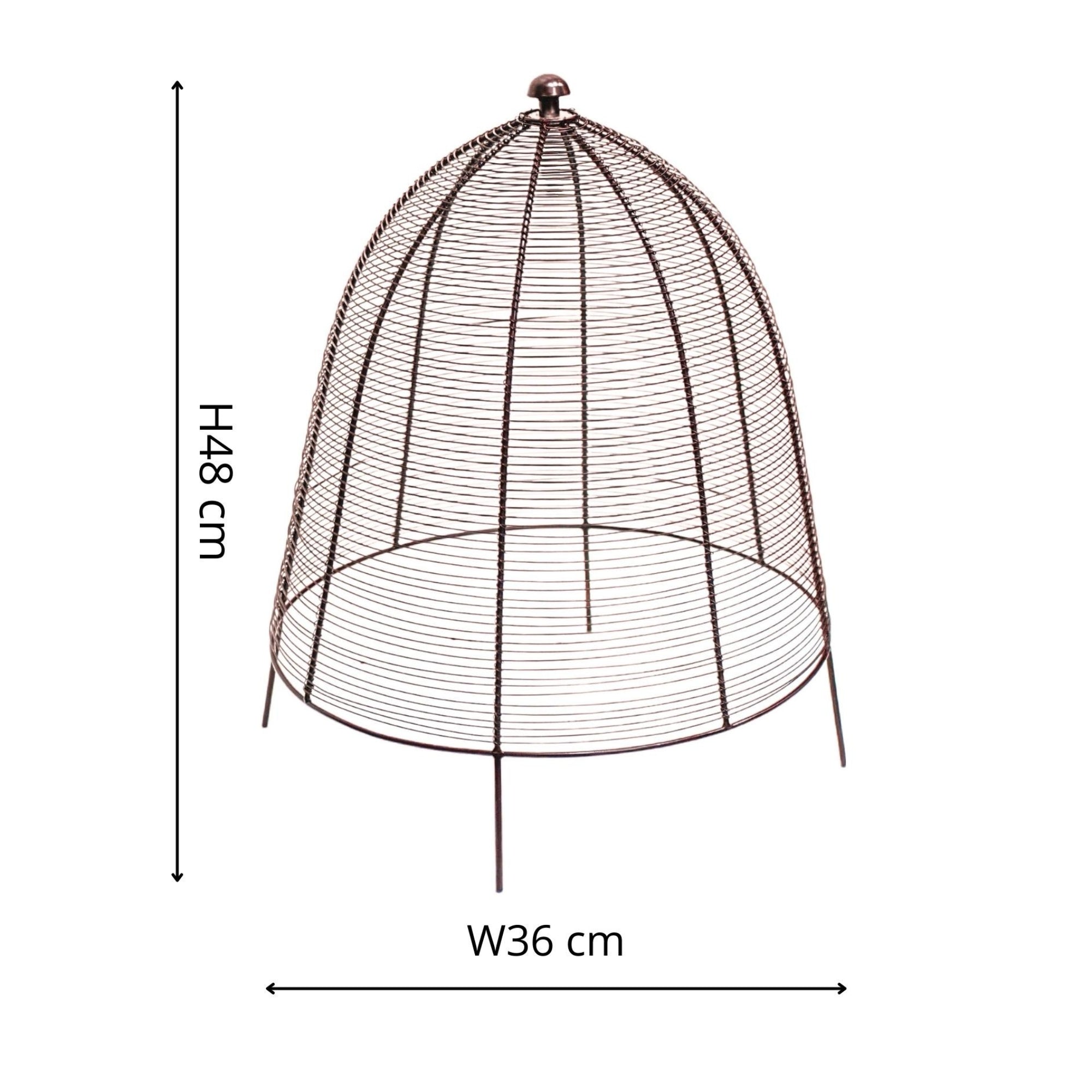 Ivyline Outdoor Wire Plant Cloche Protector-Beaumonde