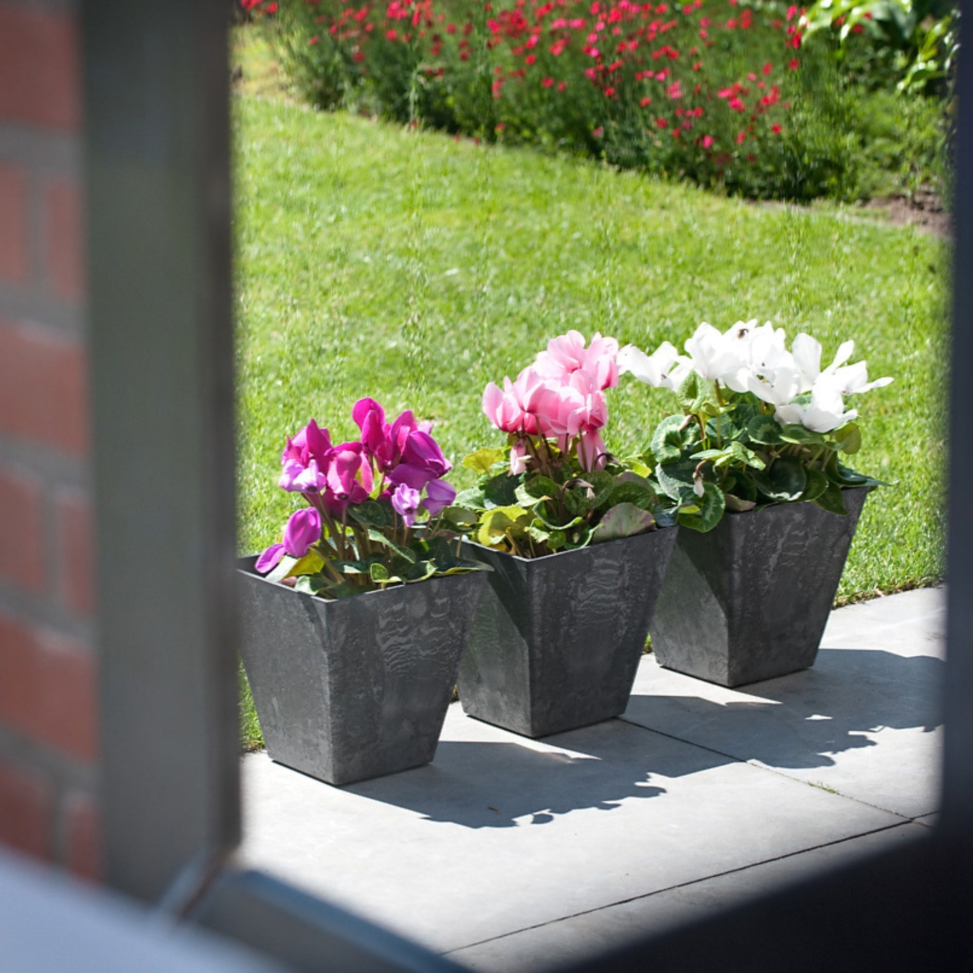 Ivyline Pot Ella Black-Beaumonde