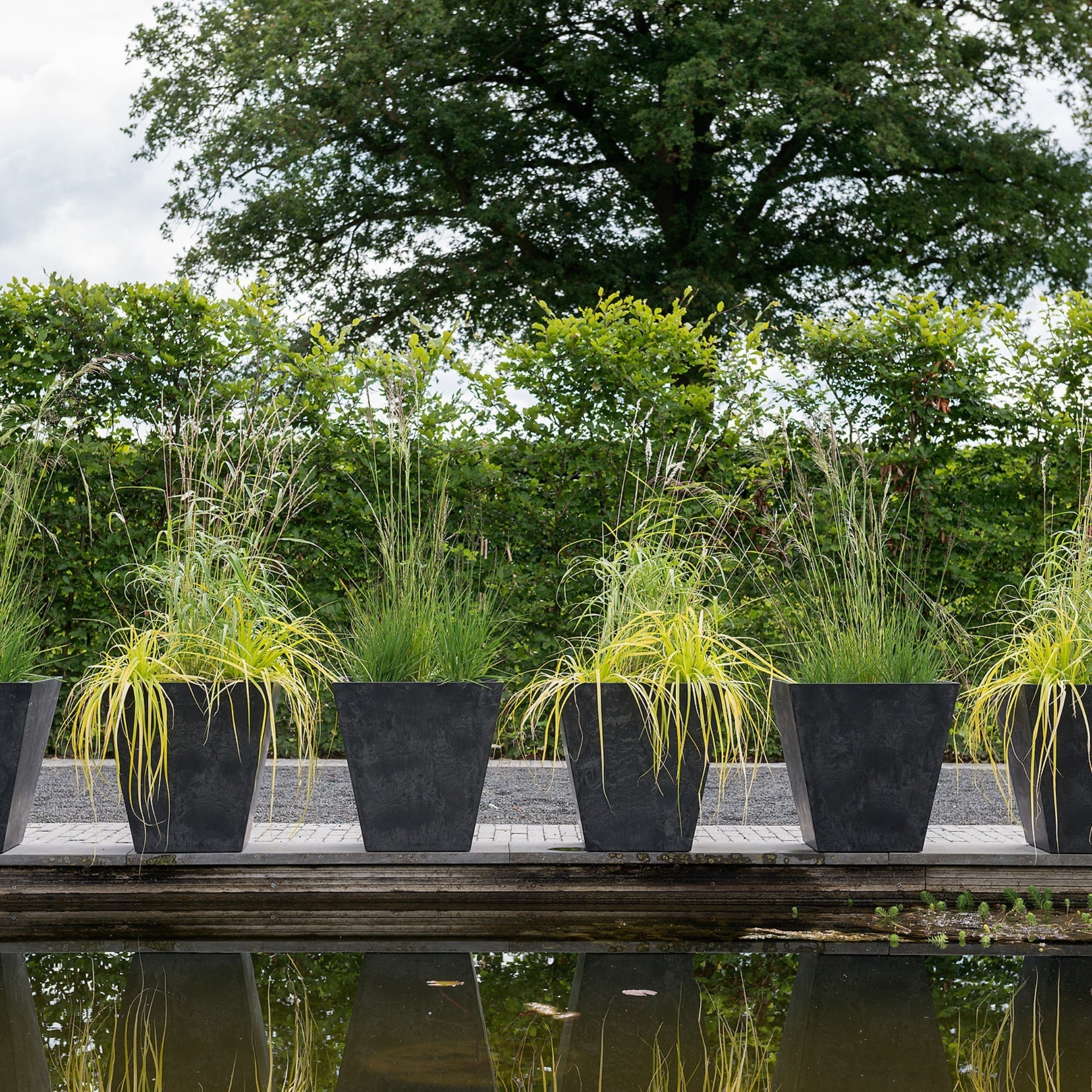 Ivyline Pot Ella Black-Beaumonde