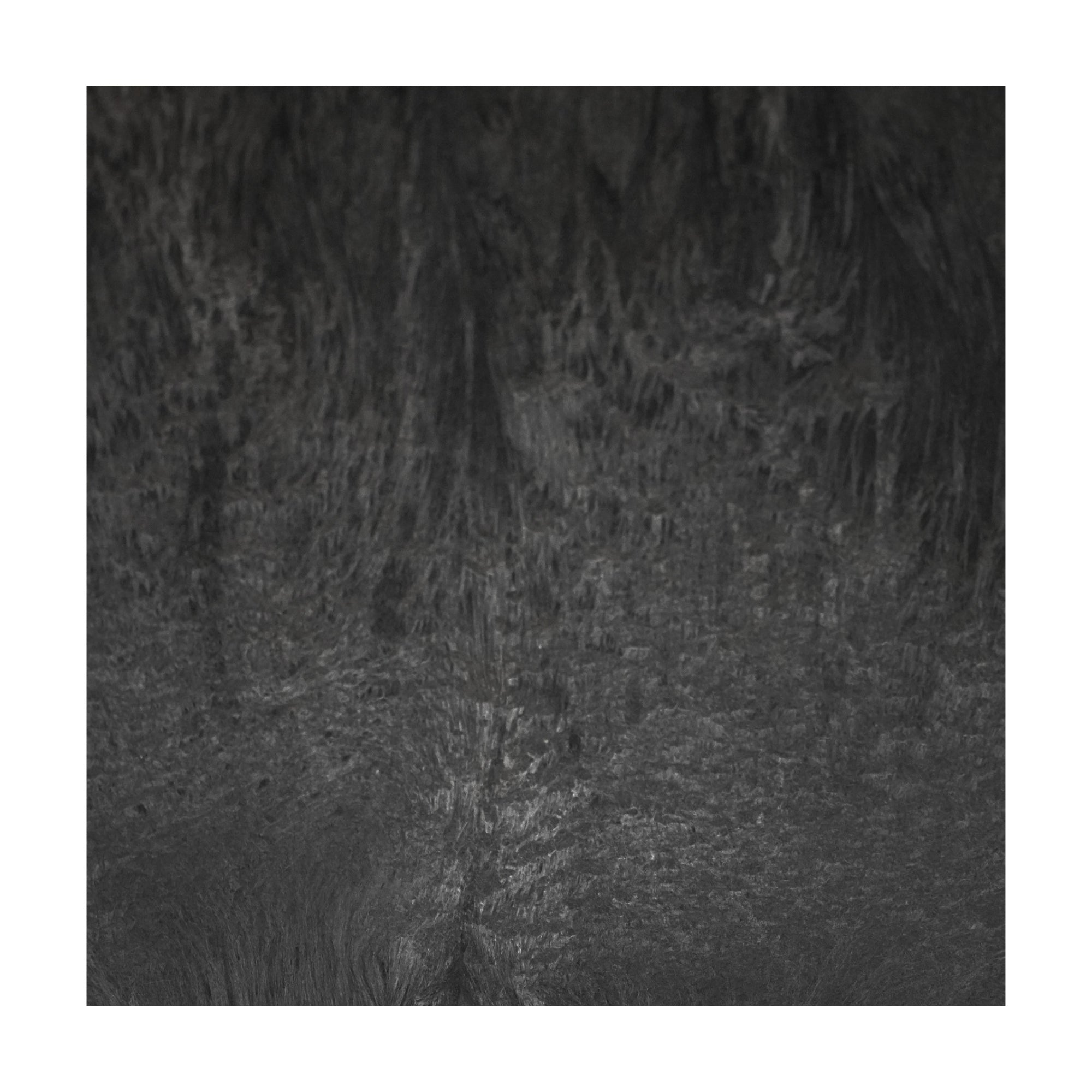 Ivyline Pot Ella Black-Beaumonde