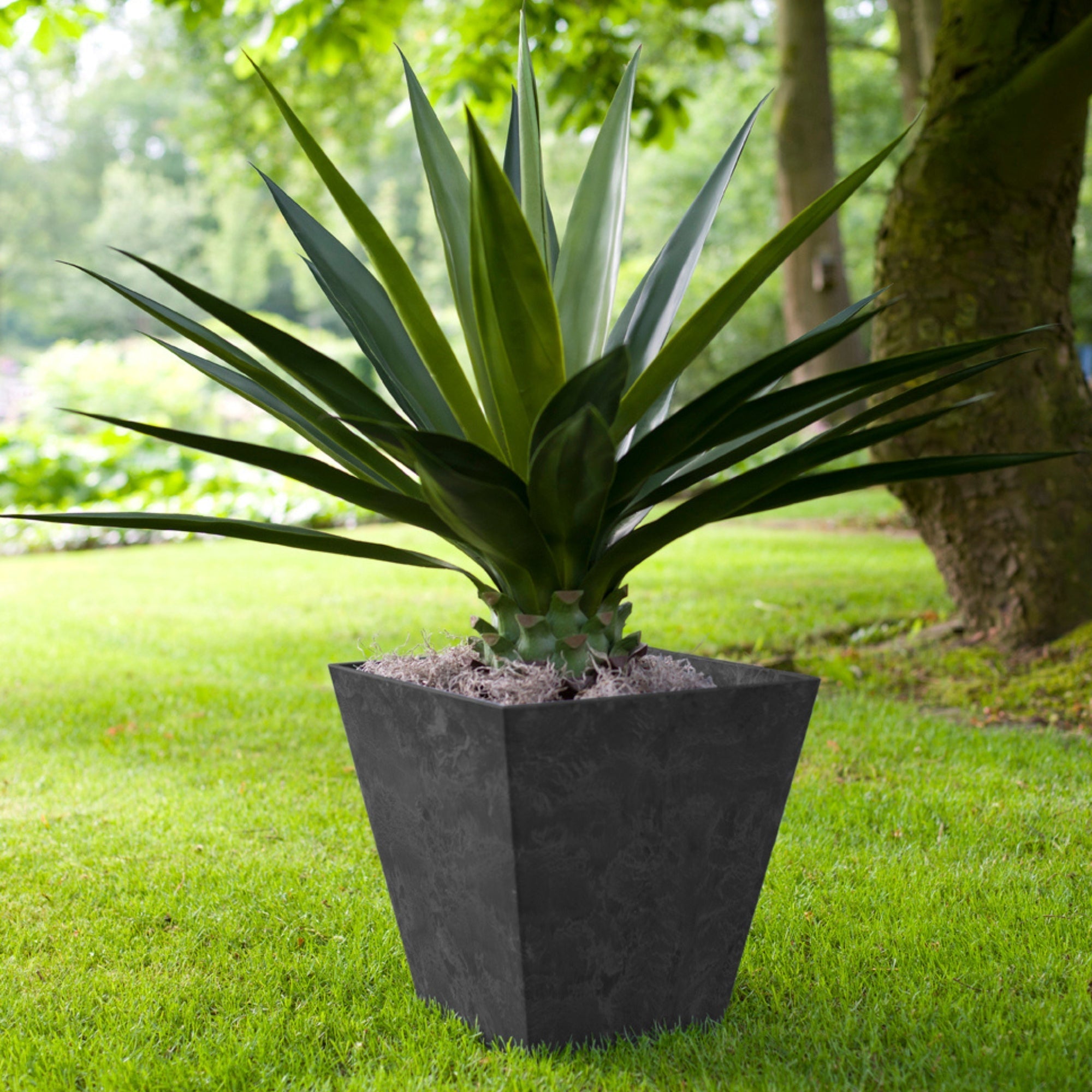 Ivyline Pot Ella Black-Beaumonde