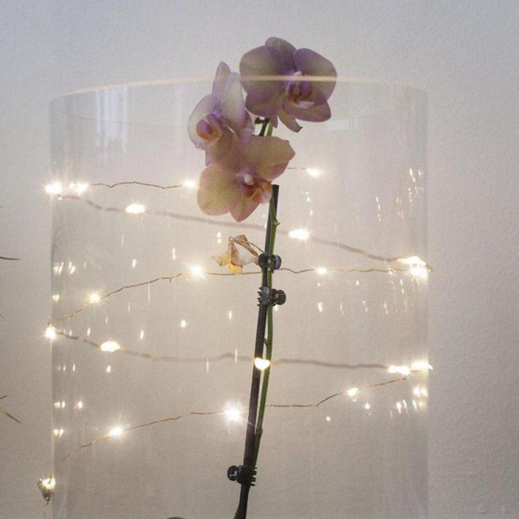 Kikkerland White Silver Micro Fairy Lights-Beaumonde