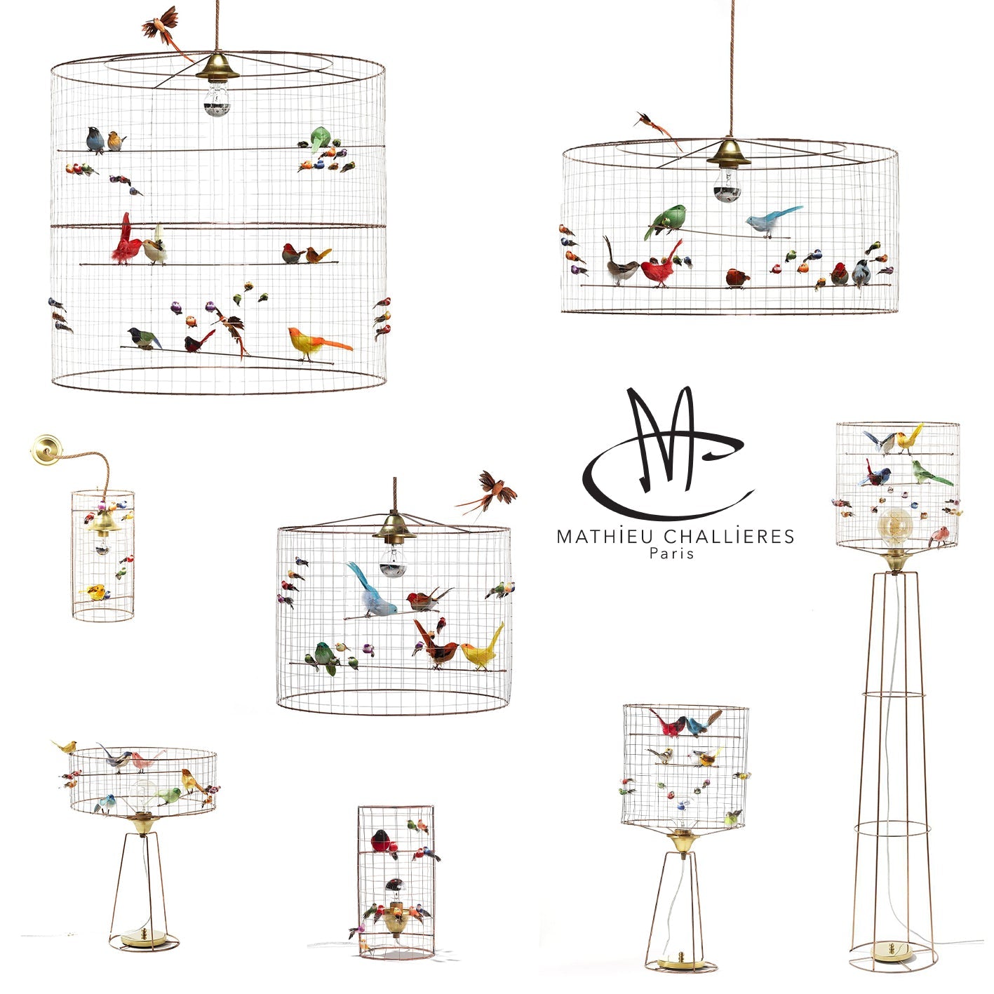Mathieu Challieres La Voliere Birdcage Tall Table Lamp
