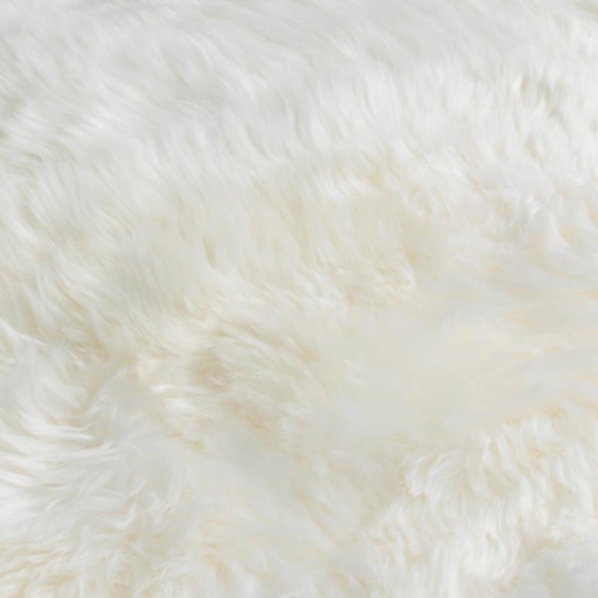 Native Home Sheepskin Rug XXL-Beaumonde