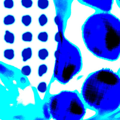 NLXL Fish & Dots Wallpaper by Paola Navone-Beaumonde