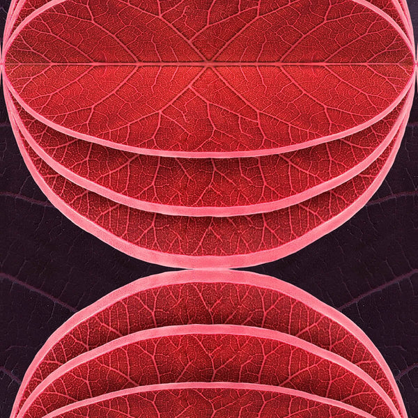 NLXL Hidden Fruits Wallpaper-Beaumonde