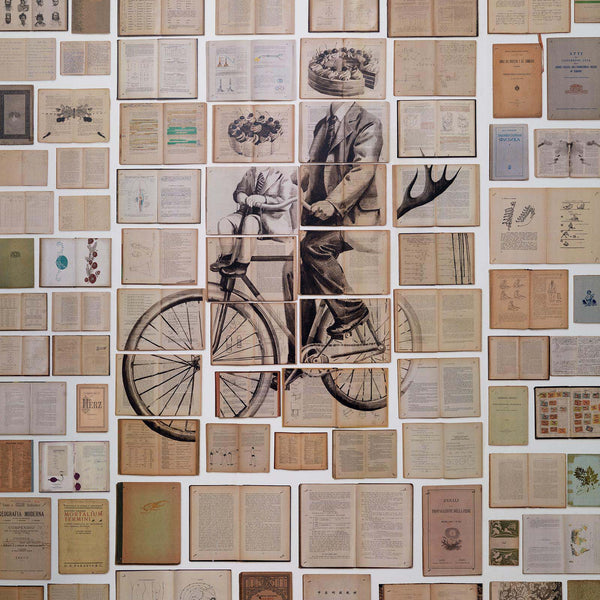 Man on bicycle Wallpaper-Beaumonde