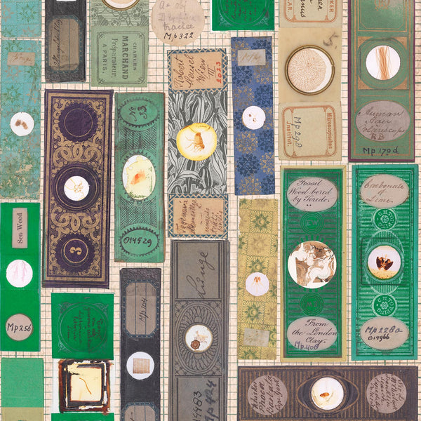 NLXL Microscopic Slides Wallpaper MRV-10-Beaumonde