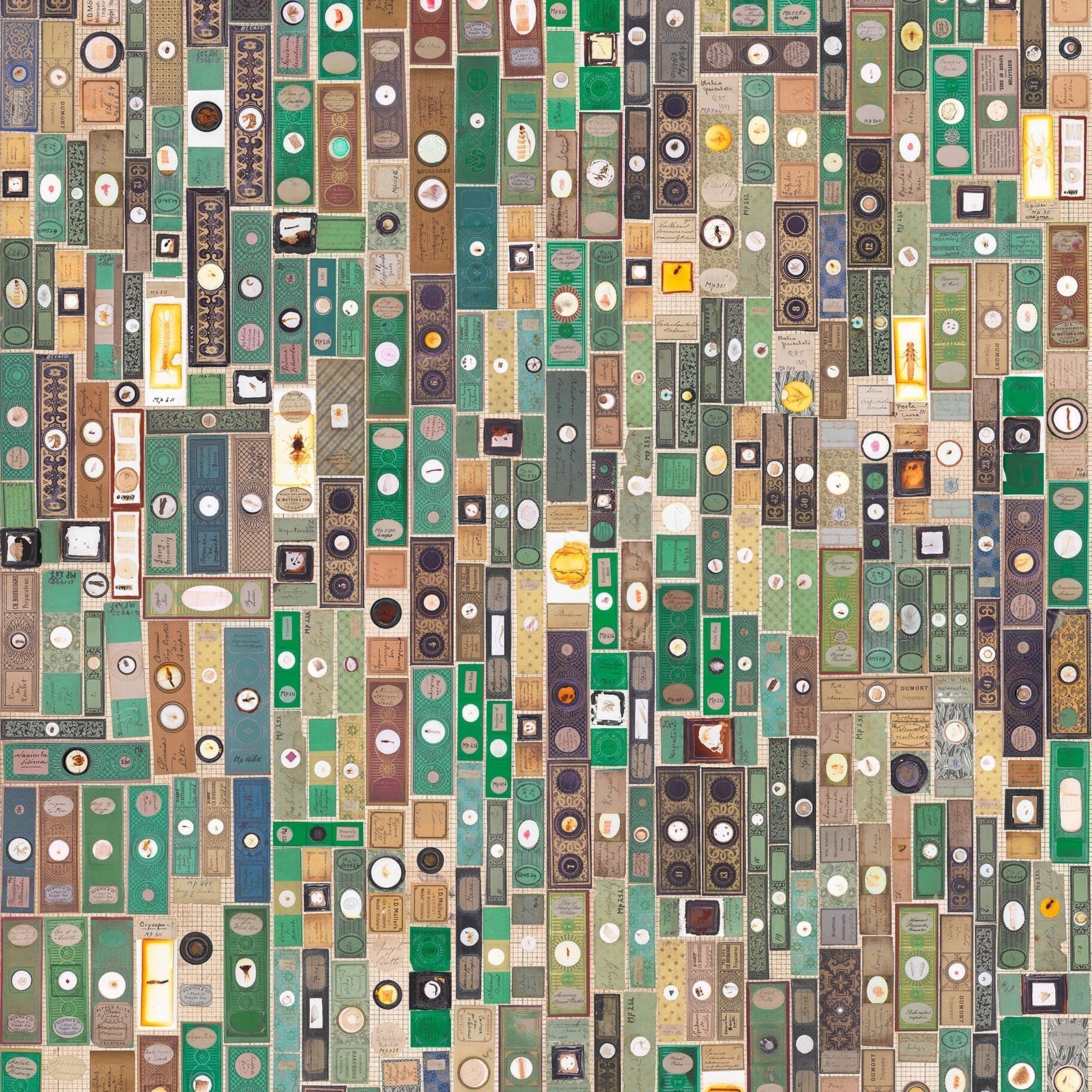NLXL Microscopic Slides Wallpaper MRV-10-Beaumonde