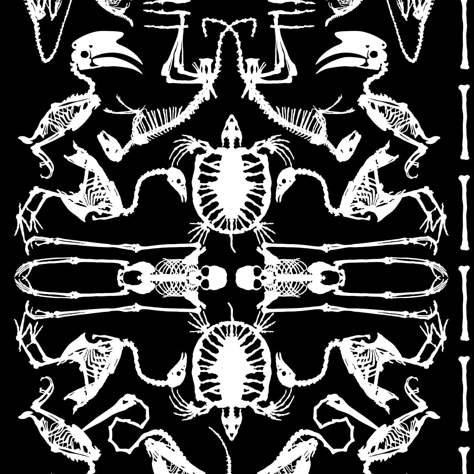 NLXL Perished Archives Wallpaper-Beaumonde