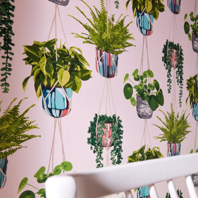 Ohpopsi Houseplant Wallpaper - Ballet Slipper-Beaumonde