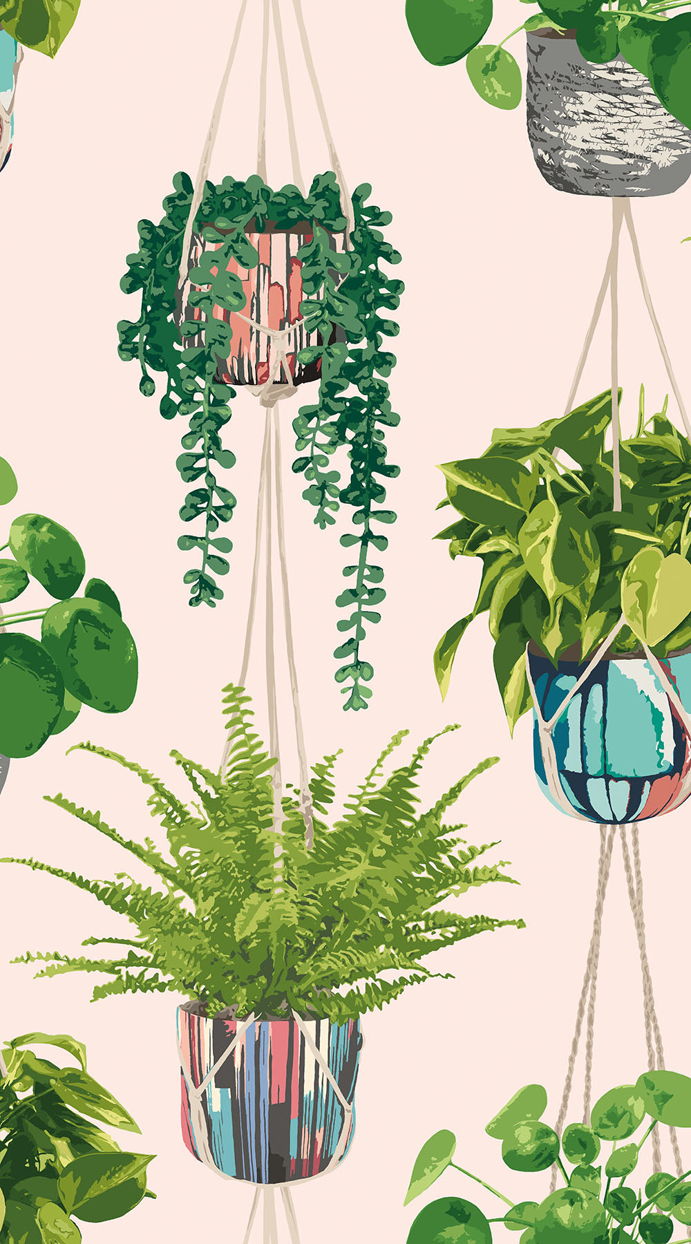 Ohpopsi Houseplant Wallpaper - Ballet Slipper-Beaumonde