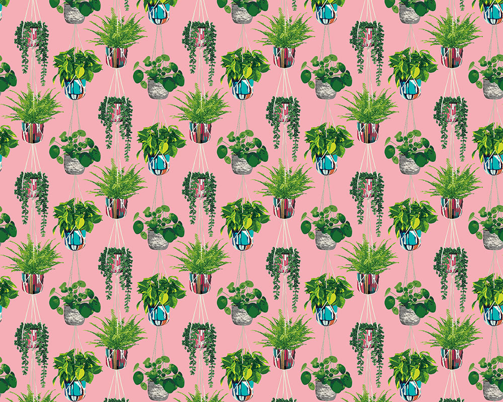 Ohpopsi Houseplant Wallpaper - Bubblegum-Beaumonde
