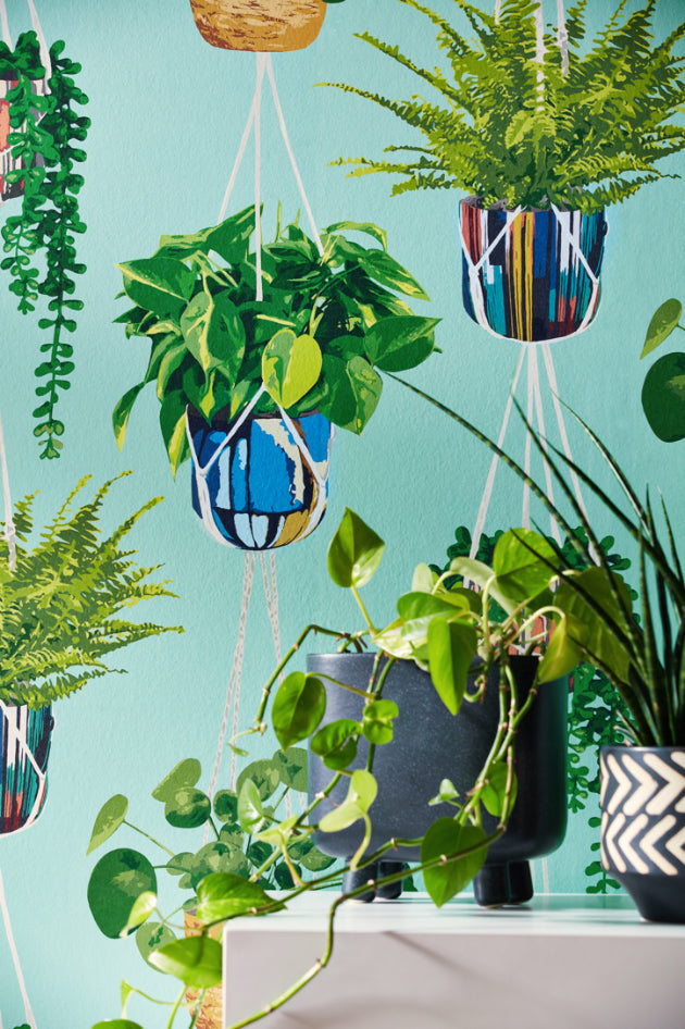 Ohpopsi Houseplant Wallpaper - Cerulean Twist-Beaumonde