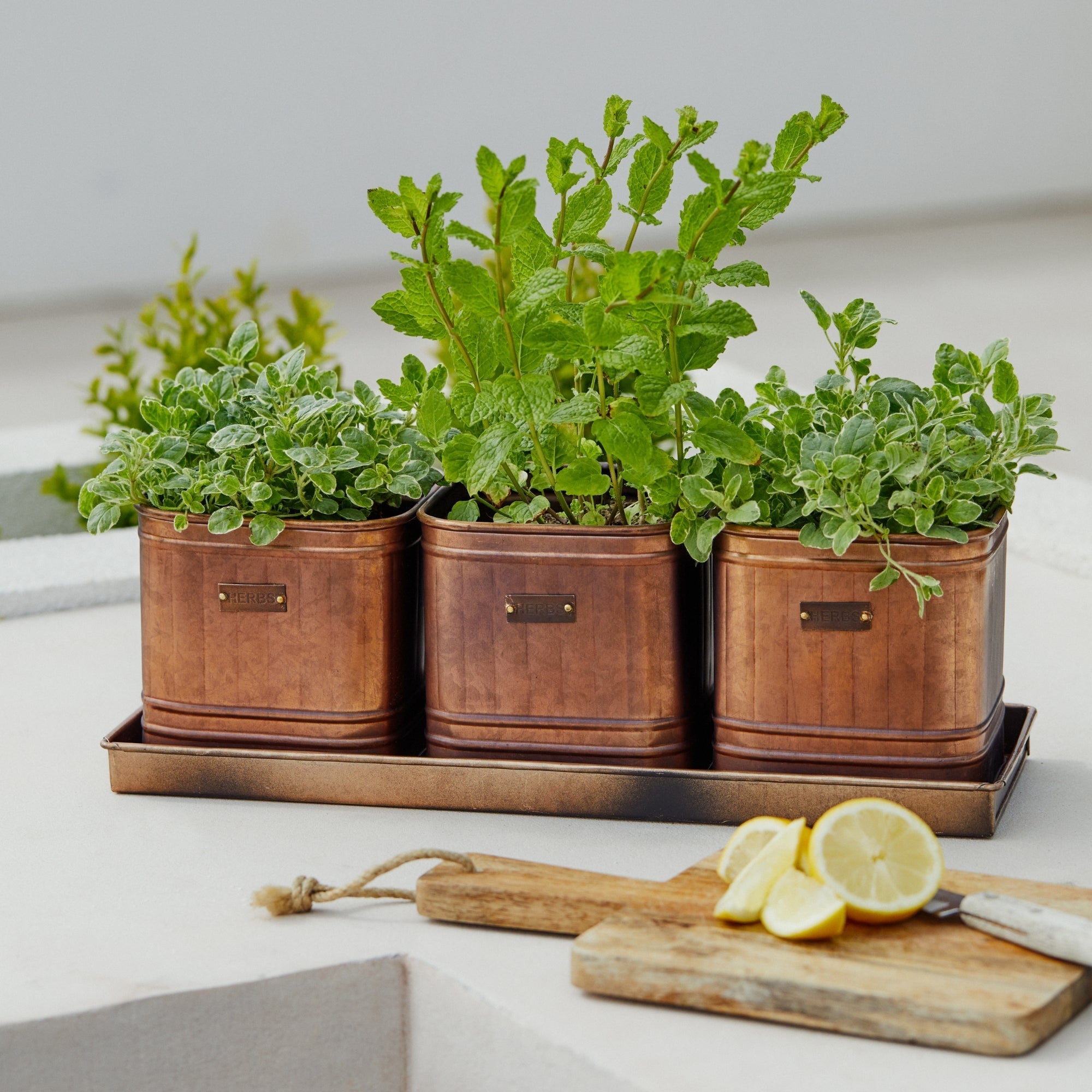 Outdoor Hampton Copper Set of 3 Herb Planters With Tray-Beaumonde